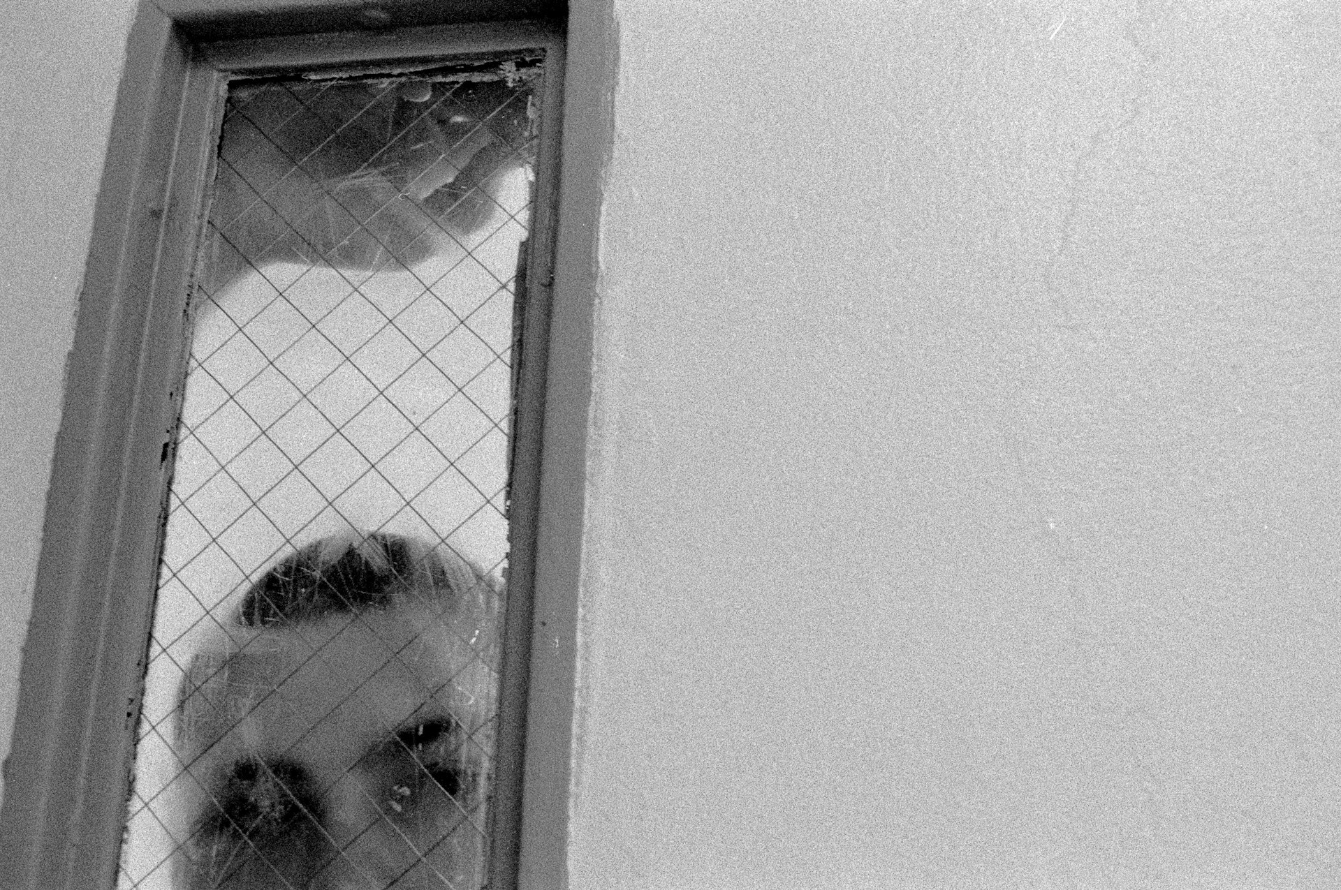 Fragile, intimate portraits of California’s imprisoned youth