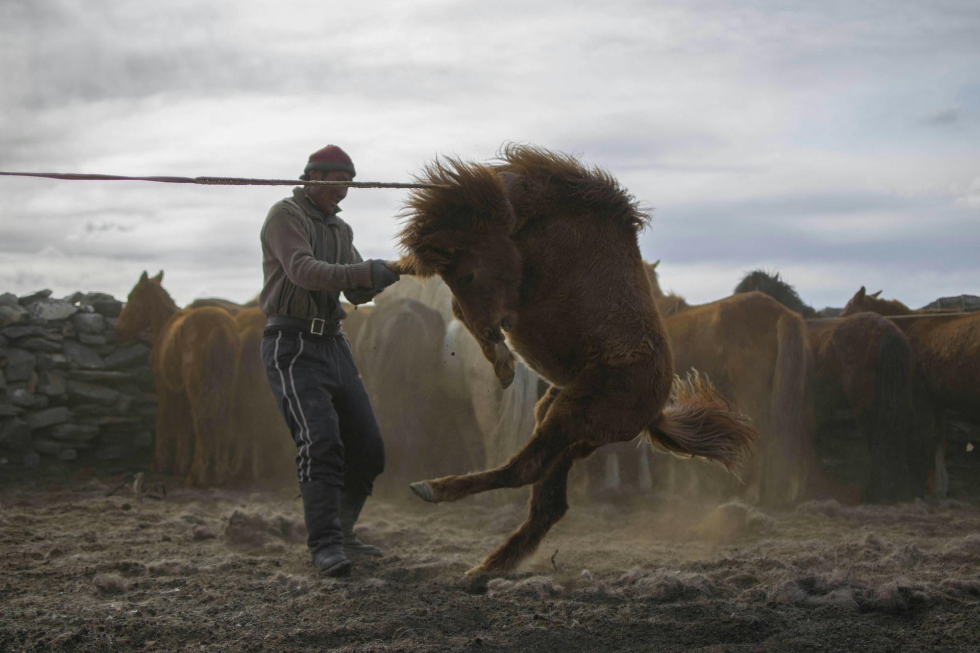 The Travel Diary: The Mongolian nomads wrestling with horses and the future