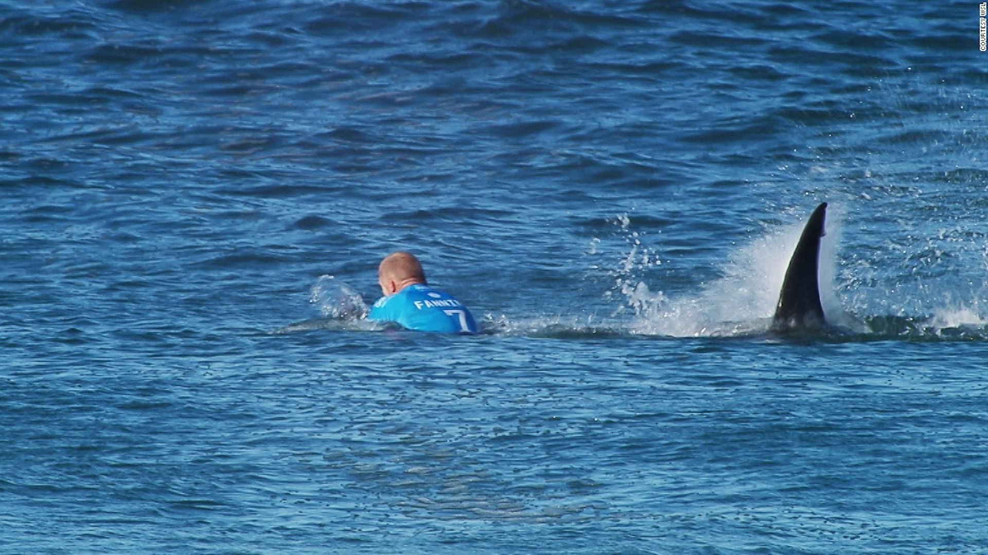 Shark attacks Mick Fanning during a surf comp. But do we have ourselves to blame?