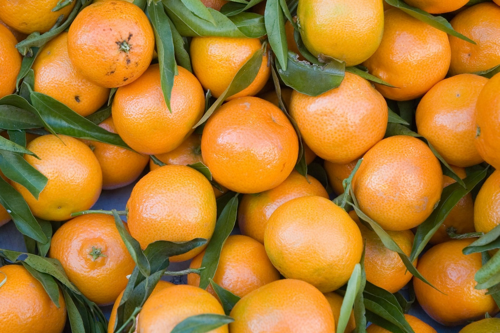 California's dirty little secret: What's in the water used to grow your all-American fruit?