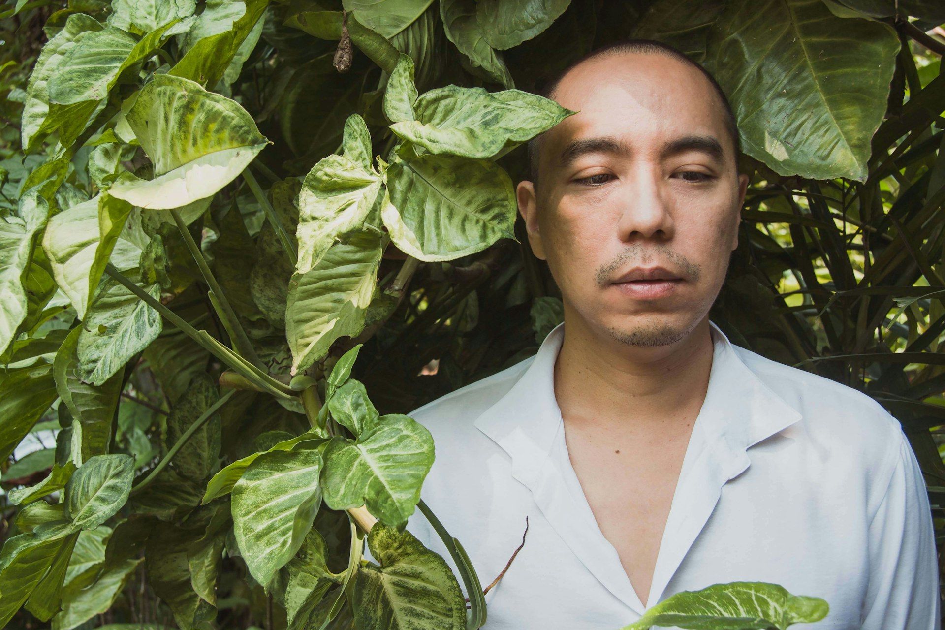 Apichatpong Weerasethakul on the future of film in Thailand