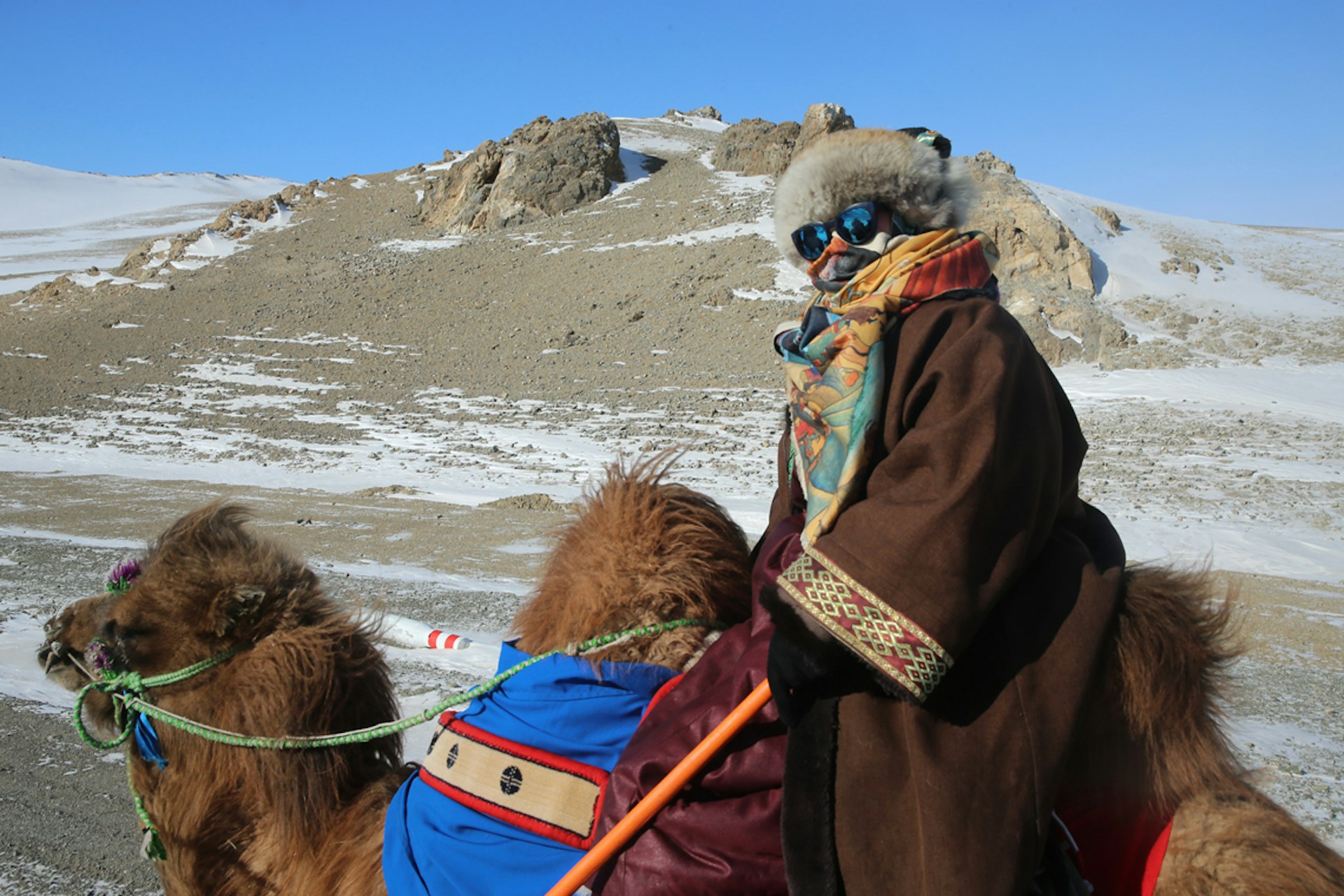 The adventurer trekking from Mongolia to London by camel