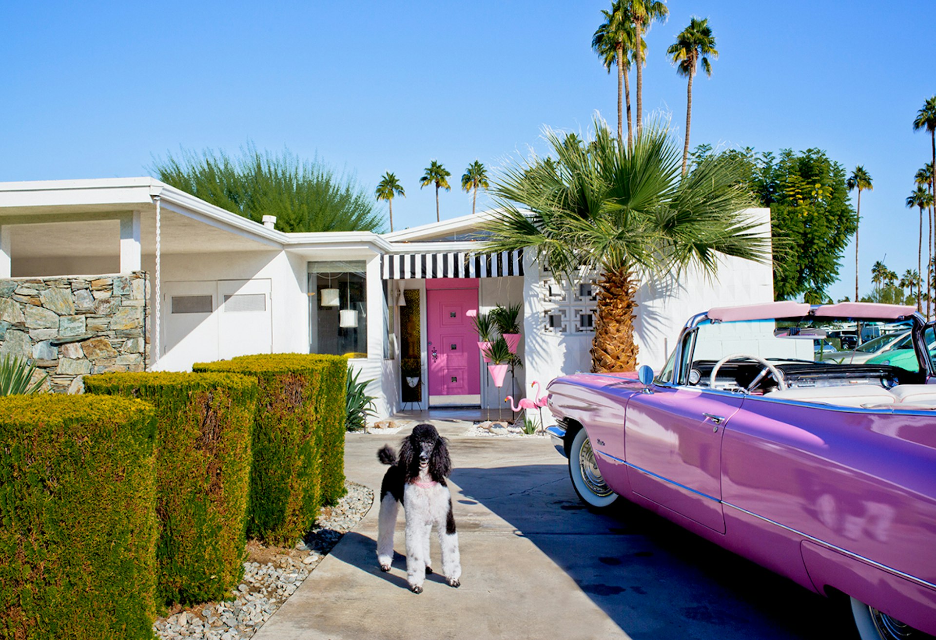 Flamboyant portraits of Palm Springs and its residents