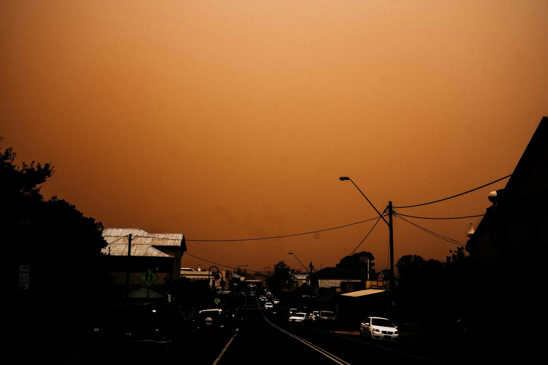 The aftermath of Australia’s devastating bushfires