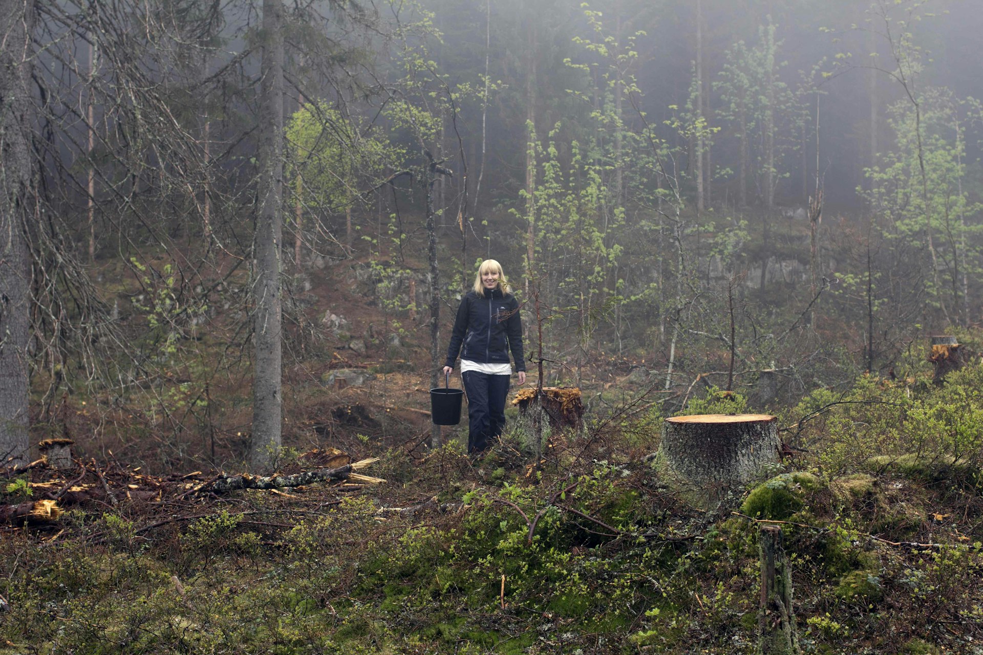 The trees in this Norwegian forest will one day become the greatest books of our time