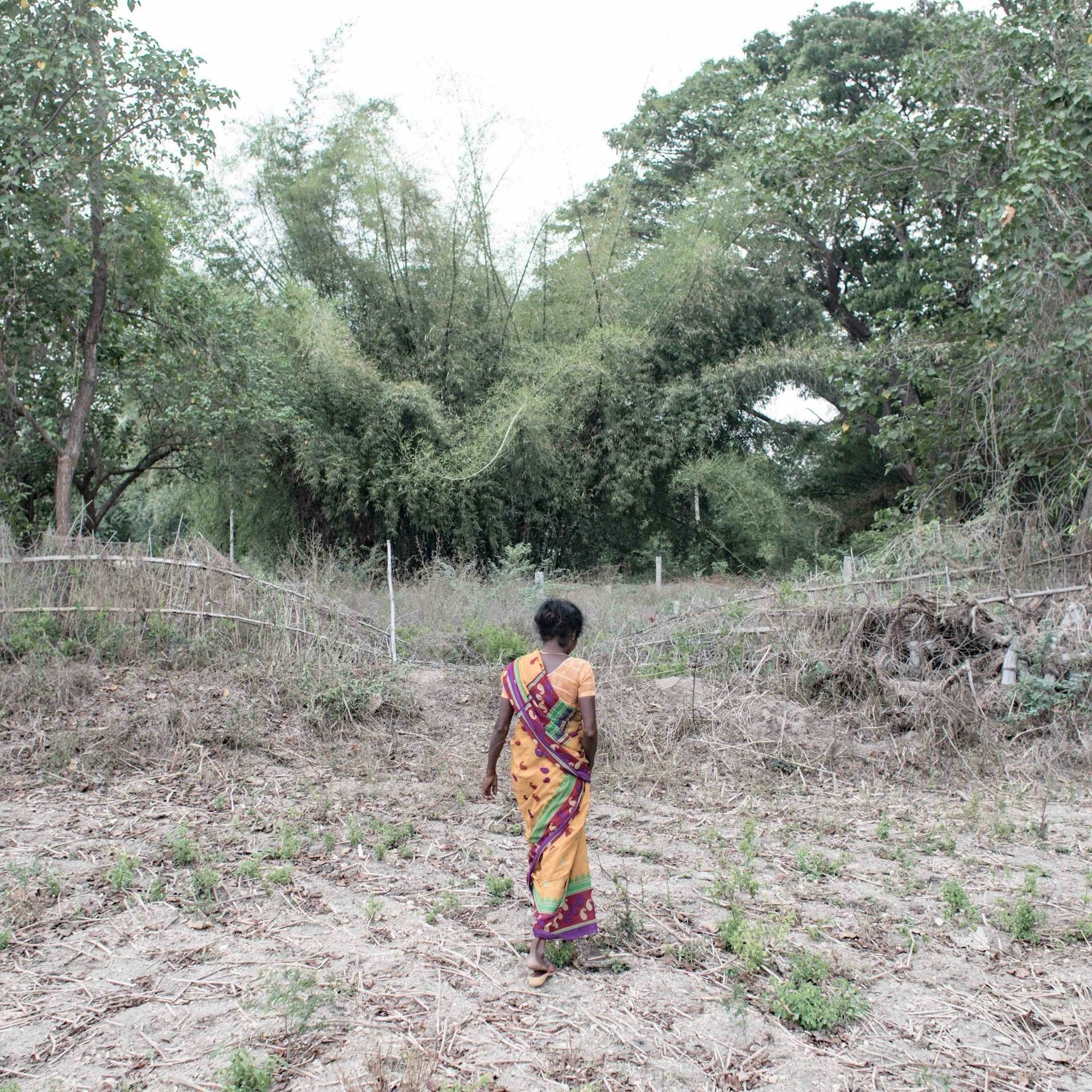 The shocking human cost of the climate crisis in India
