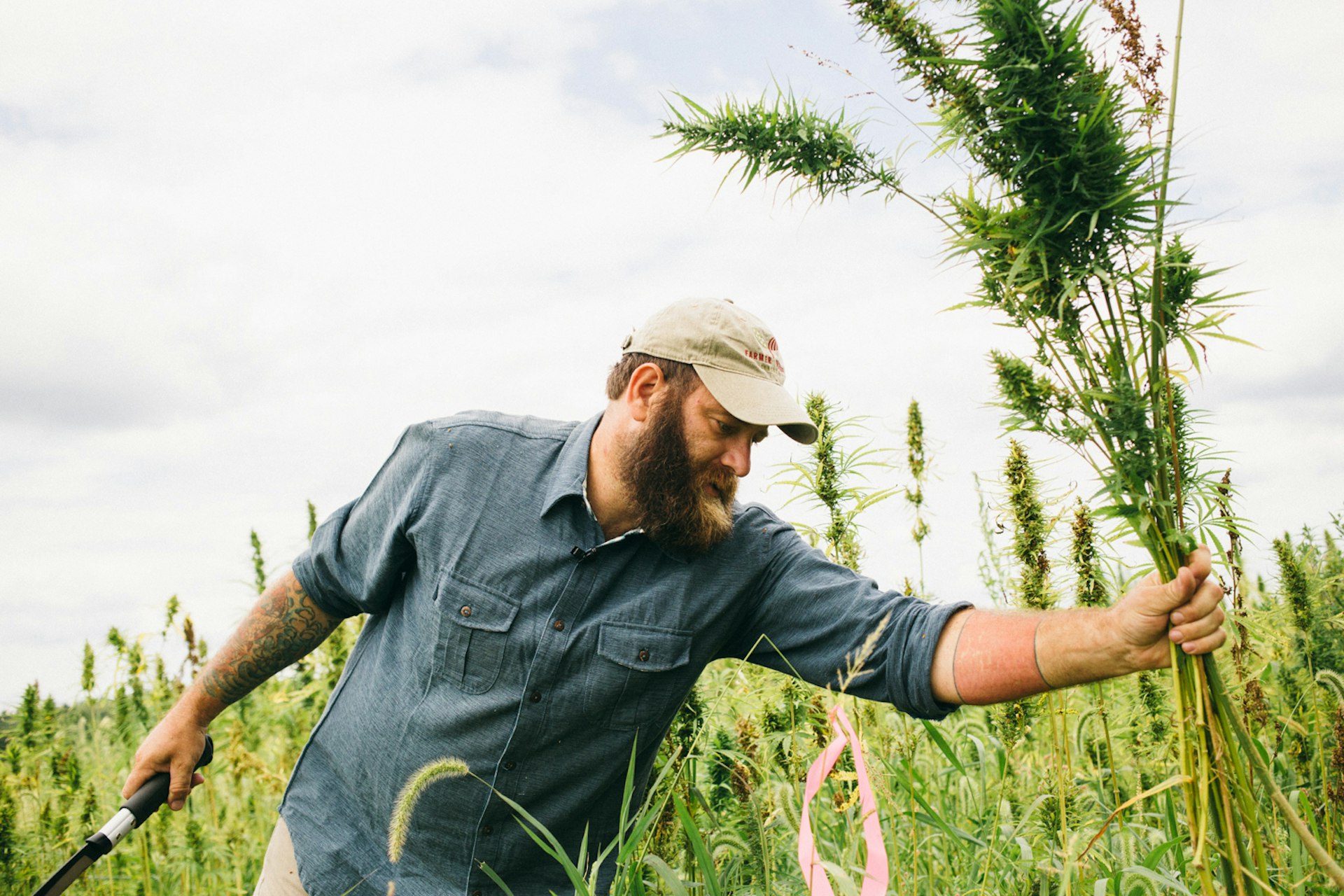 The American military veterans fighting for the right to grow hemp