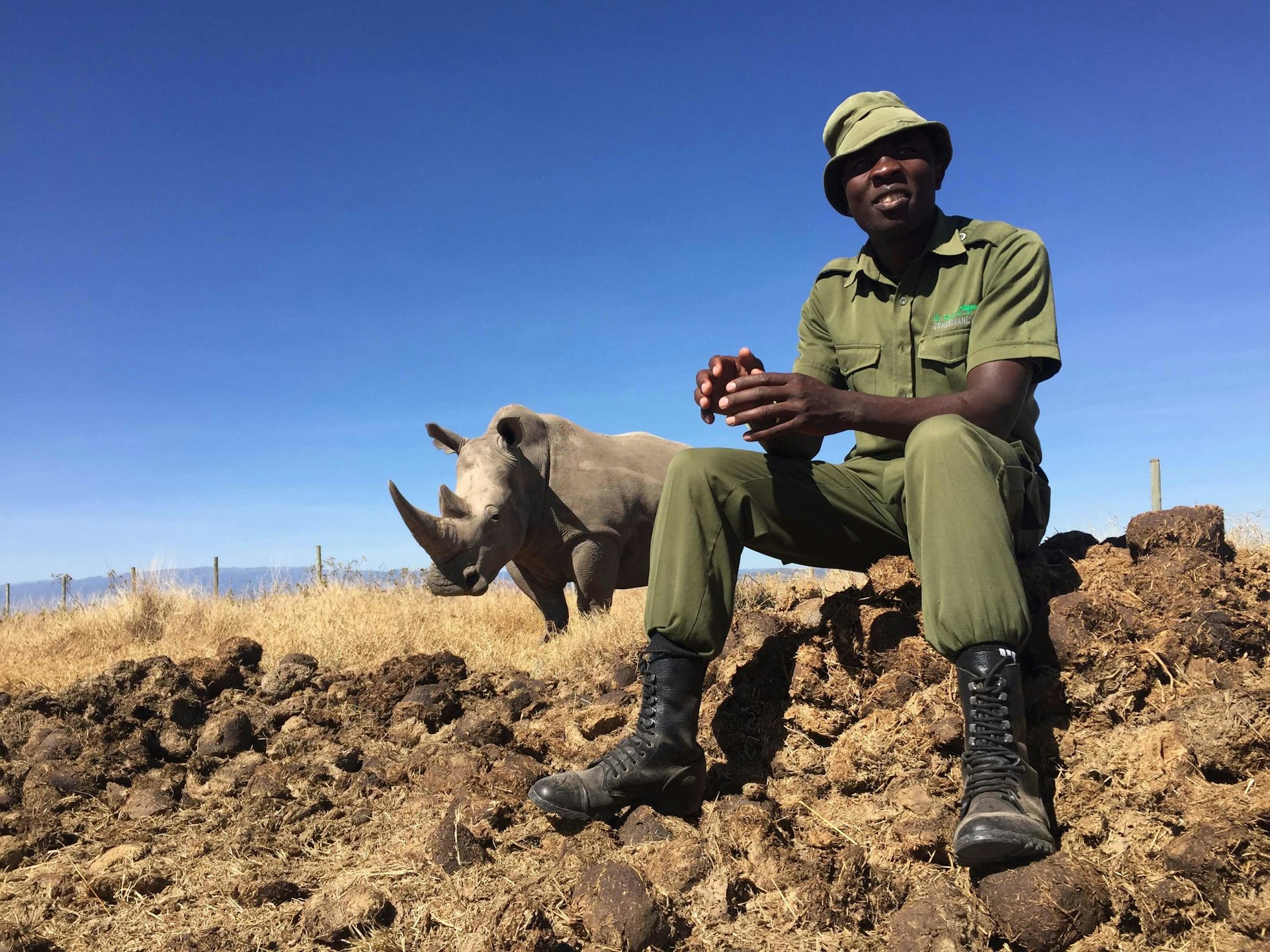 The man working to save rhinos from extinction