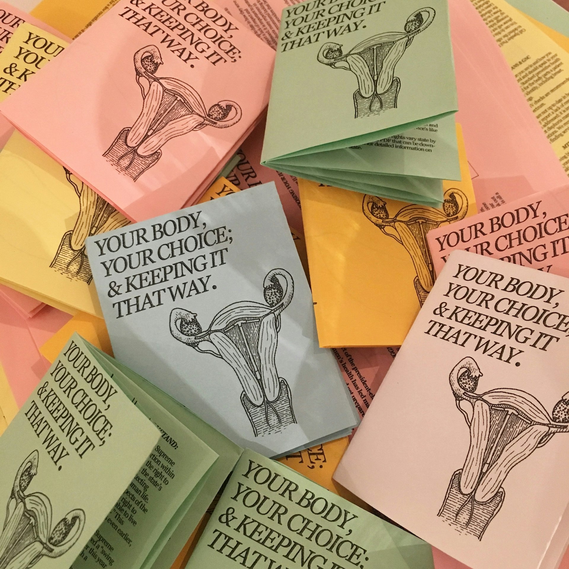 The reproductive rights zine informing American women