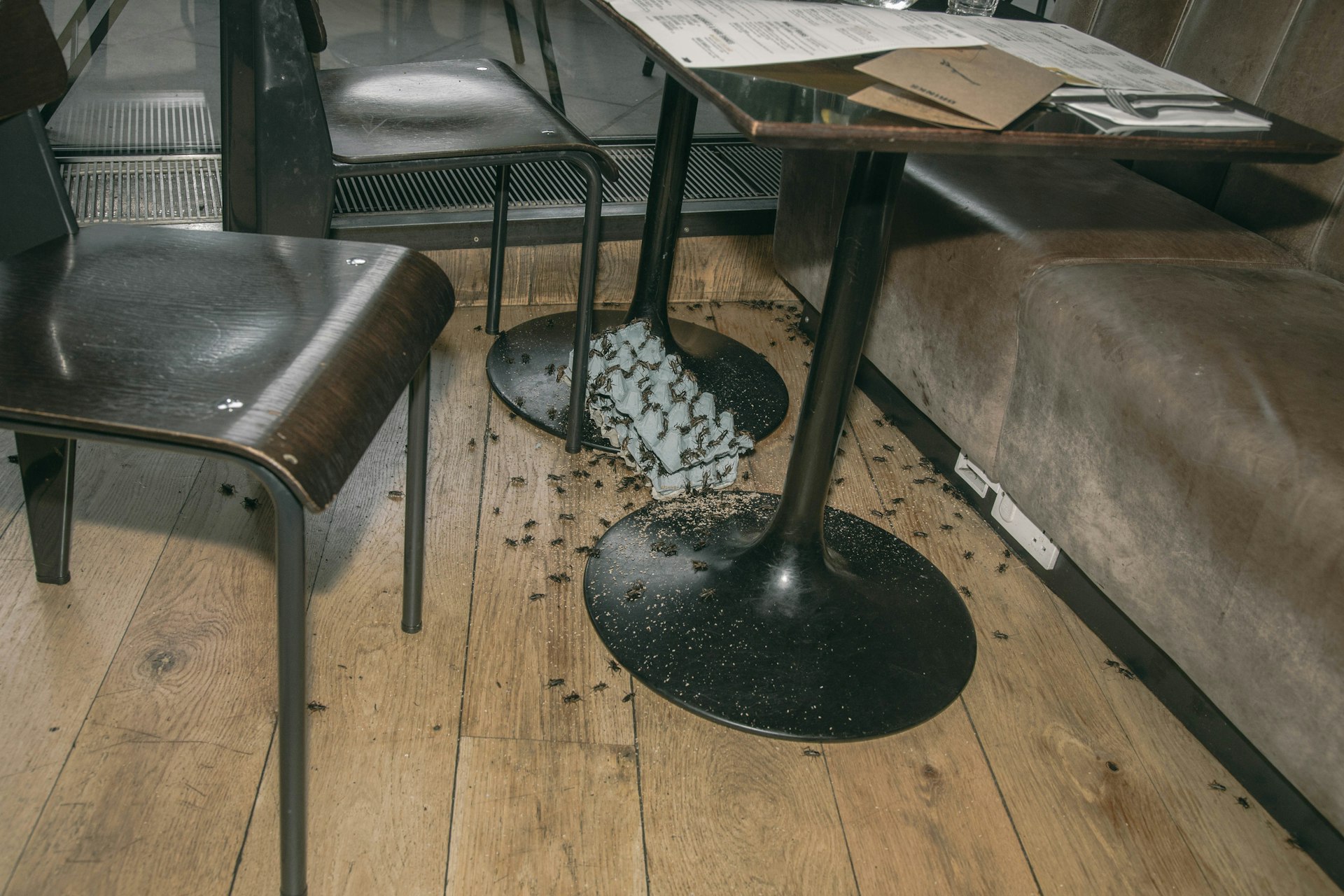 We watched angry activists release thousands of bugs in a busy London restaurant