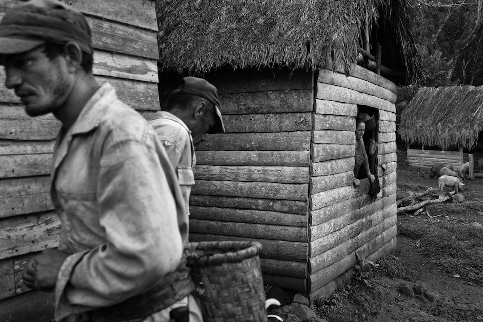 An evocative portrait of Cuba’s agricultural communities
