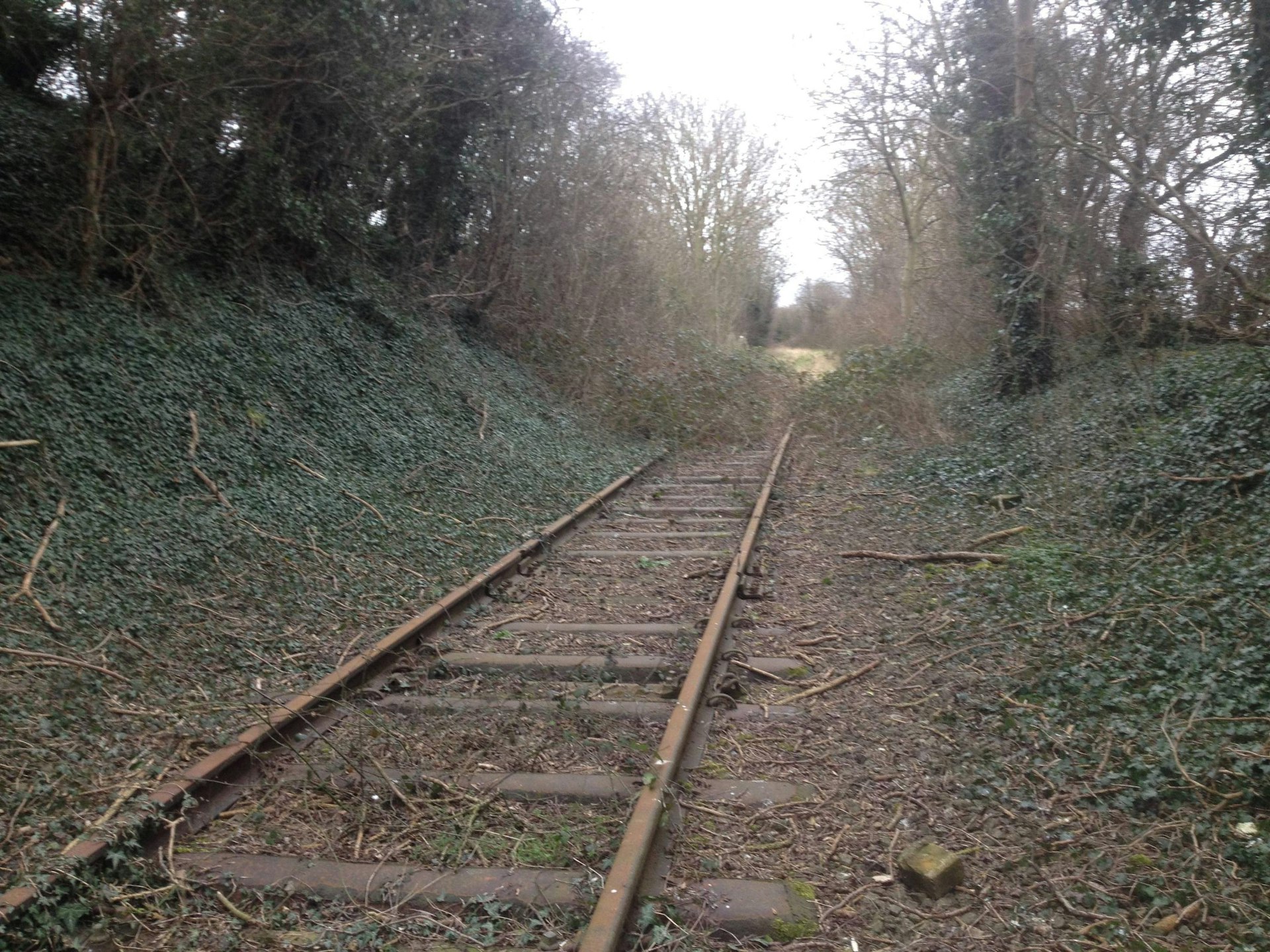 The online community where abandoned train tracks are gateways to the past