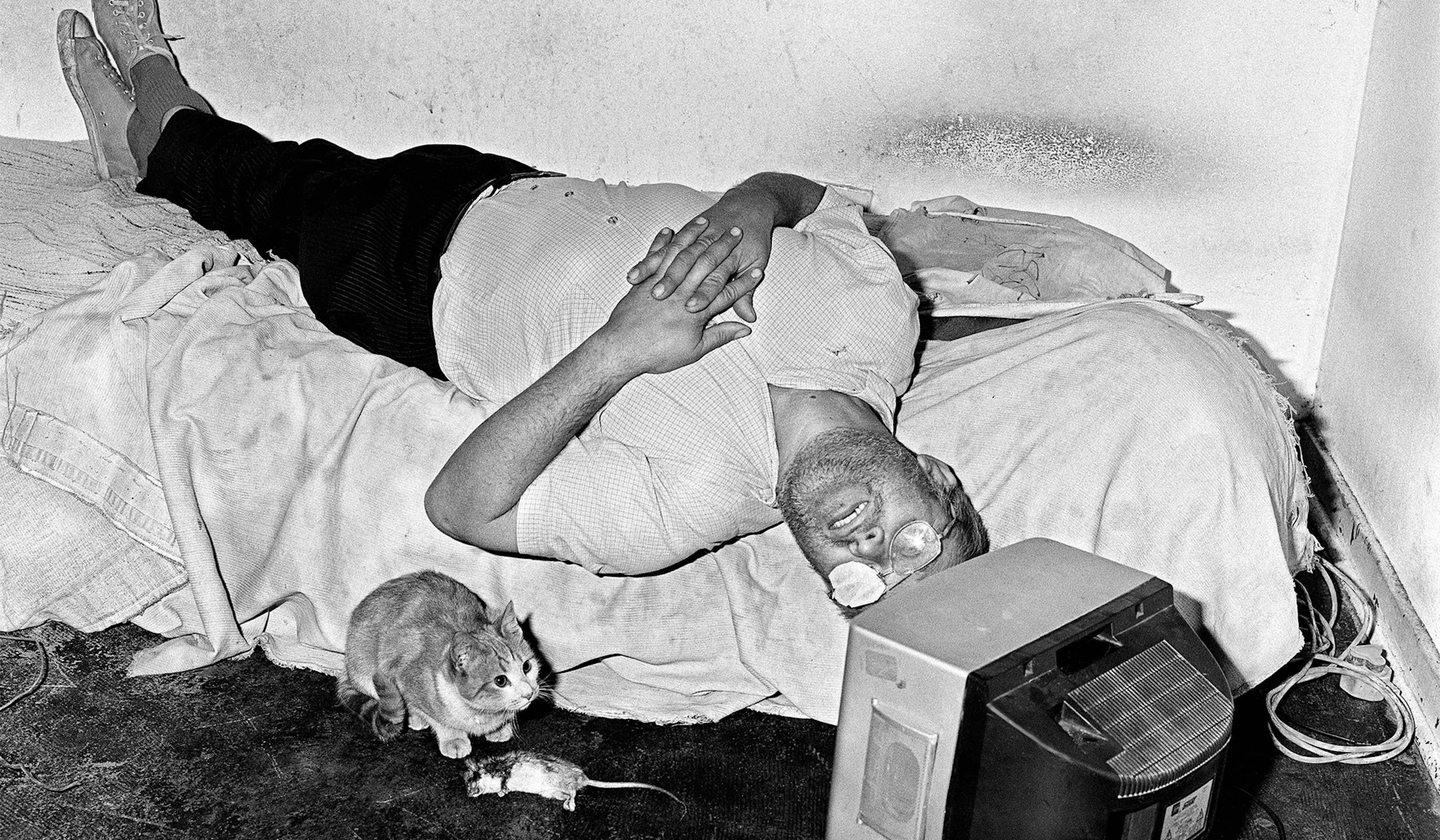 Provocative photographer Roger Ballen delves into the abyss of the psyche