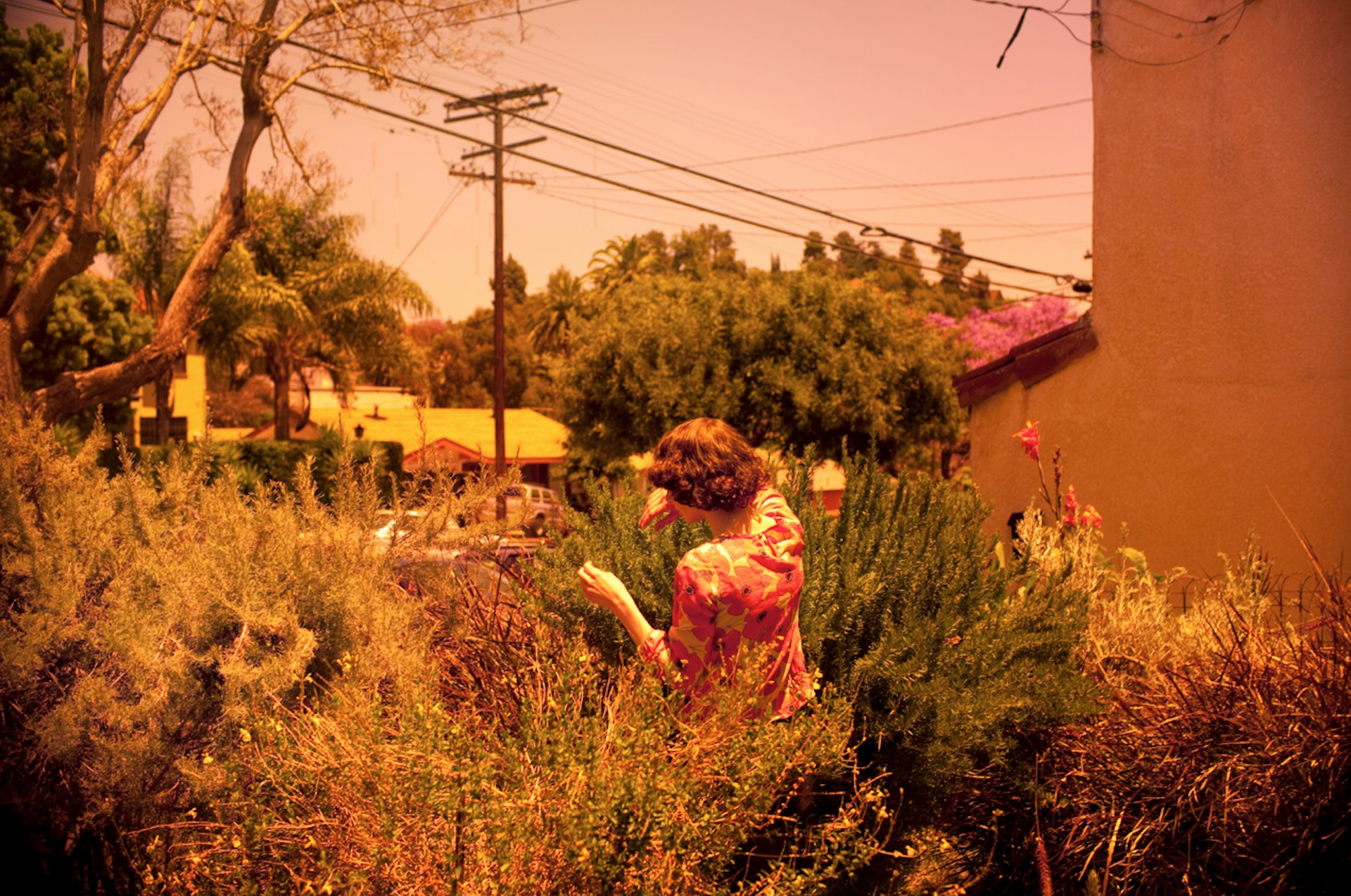Miranda July's new book and why she's the queen of hyper-productive procrastination