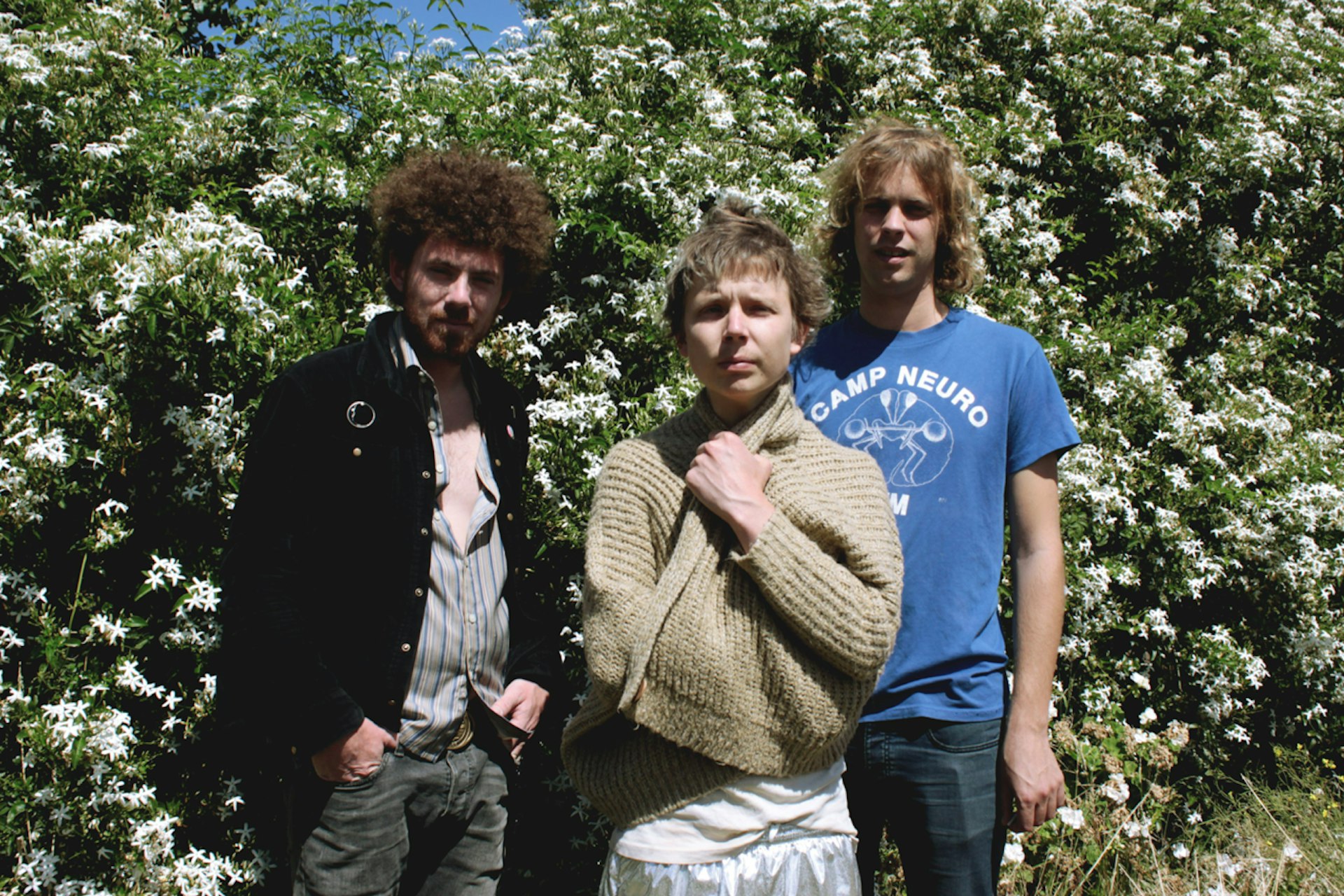 Australian band Pond on the revival of psychedelia