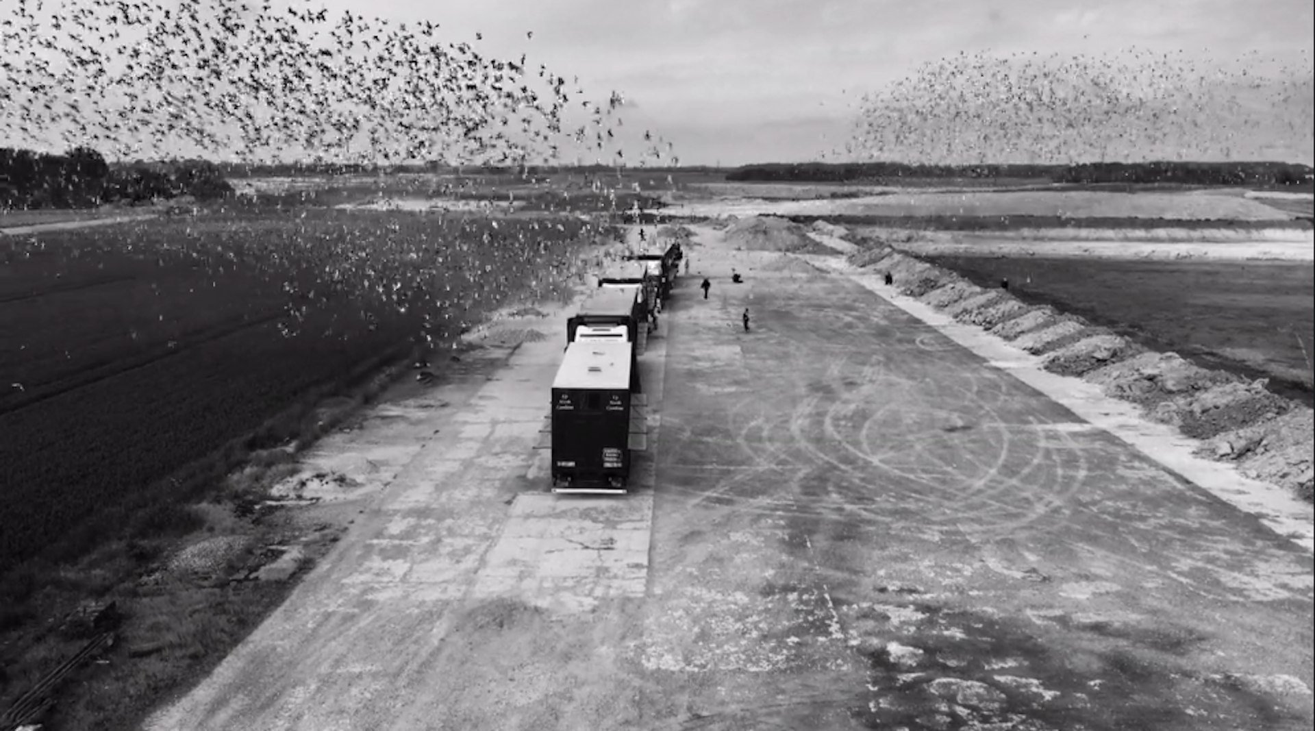 This short abstract doc explores the dying art of pigeon racing