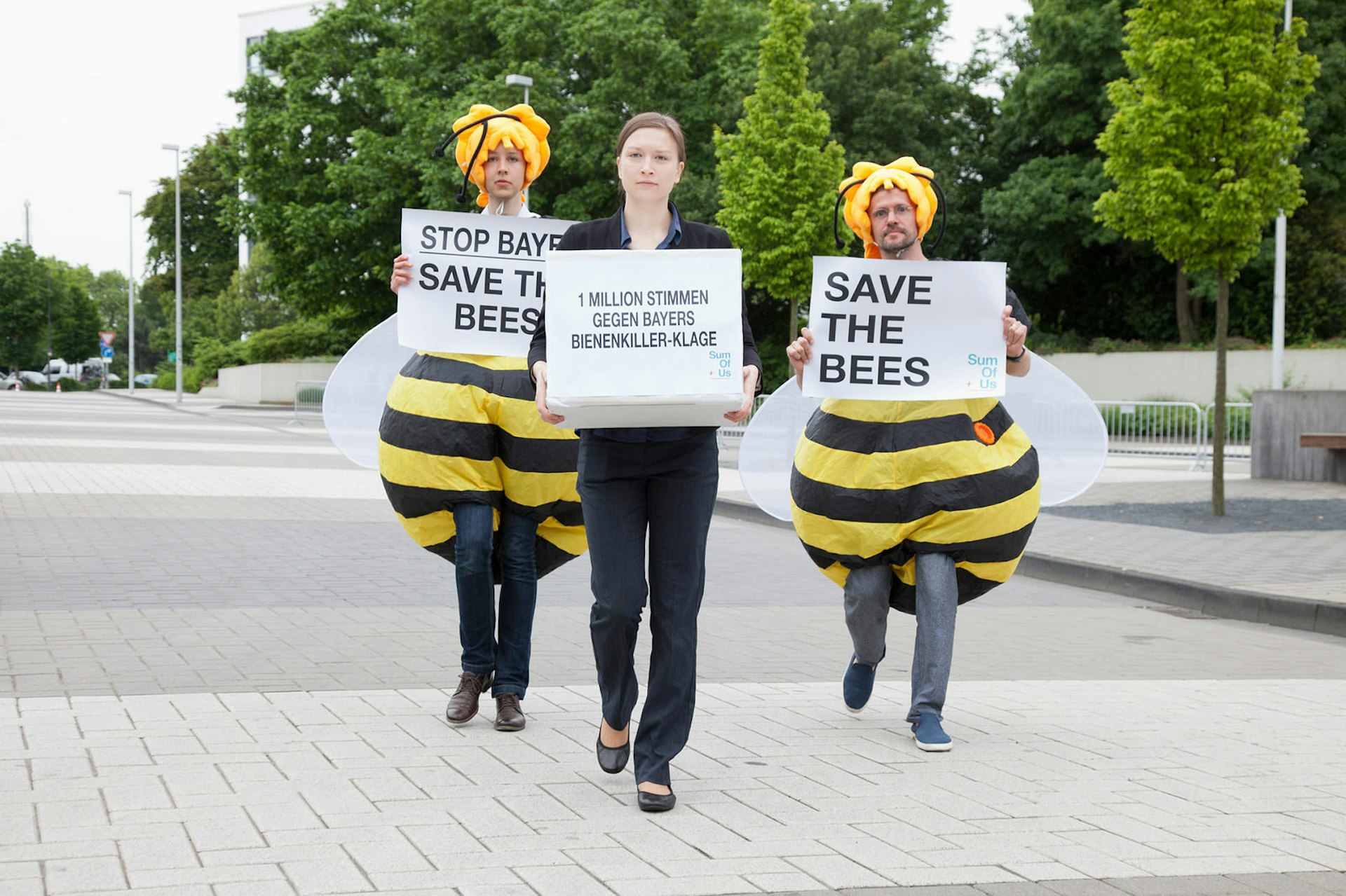 Activists threatened with legal action for defending bees