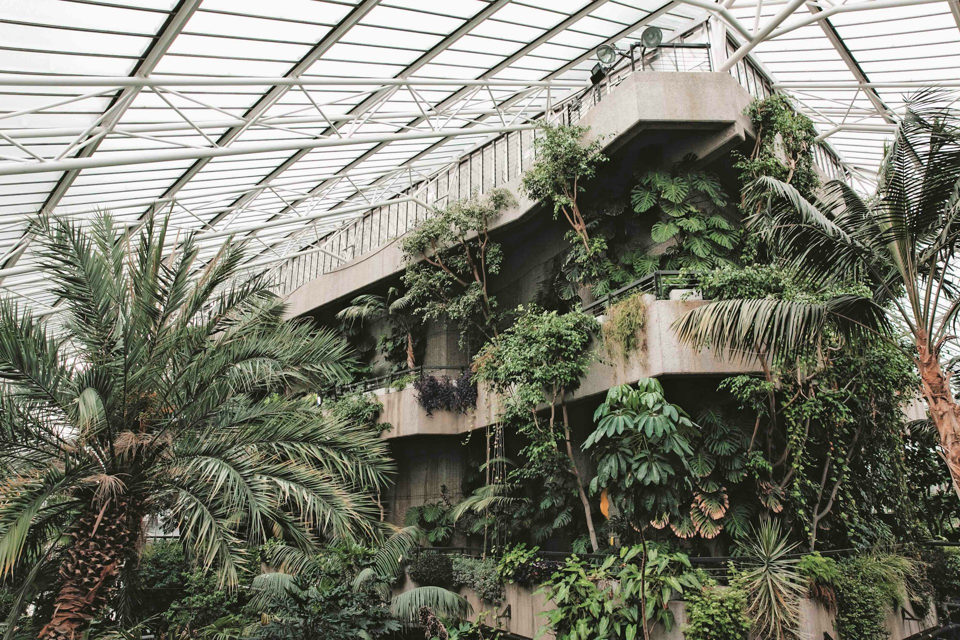 Wholesome photos of the world’s best greenhouses