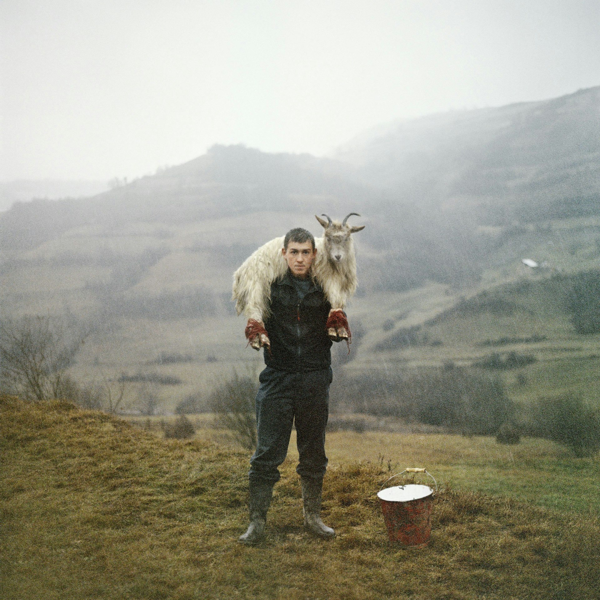 The cycle of life and death in the Romanian countryside