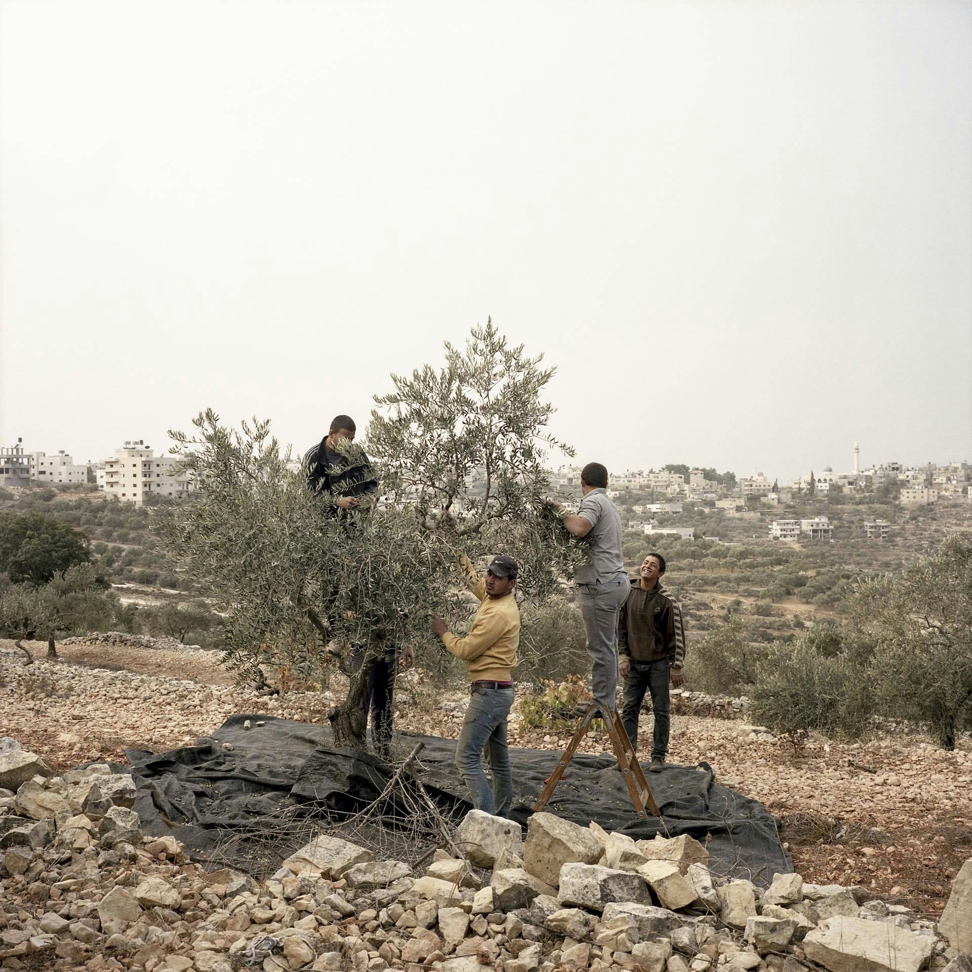 The quiet resistance of a Palestinian village