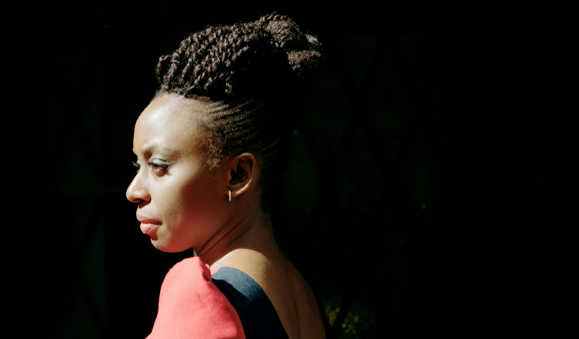 Chimamanda Ngozi Adichie, the voice on Beyoncé's 'Flawless', on the narratives of Africa