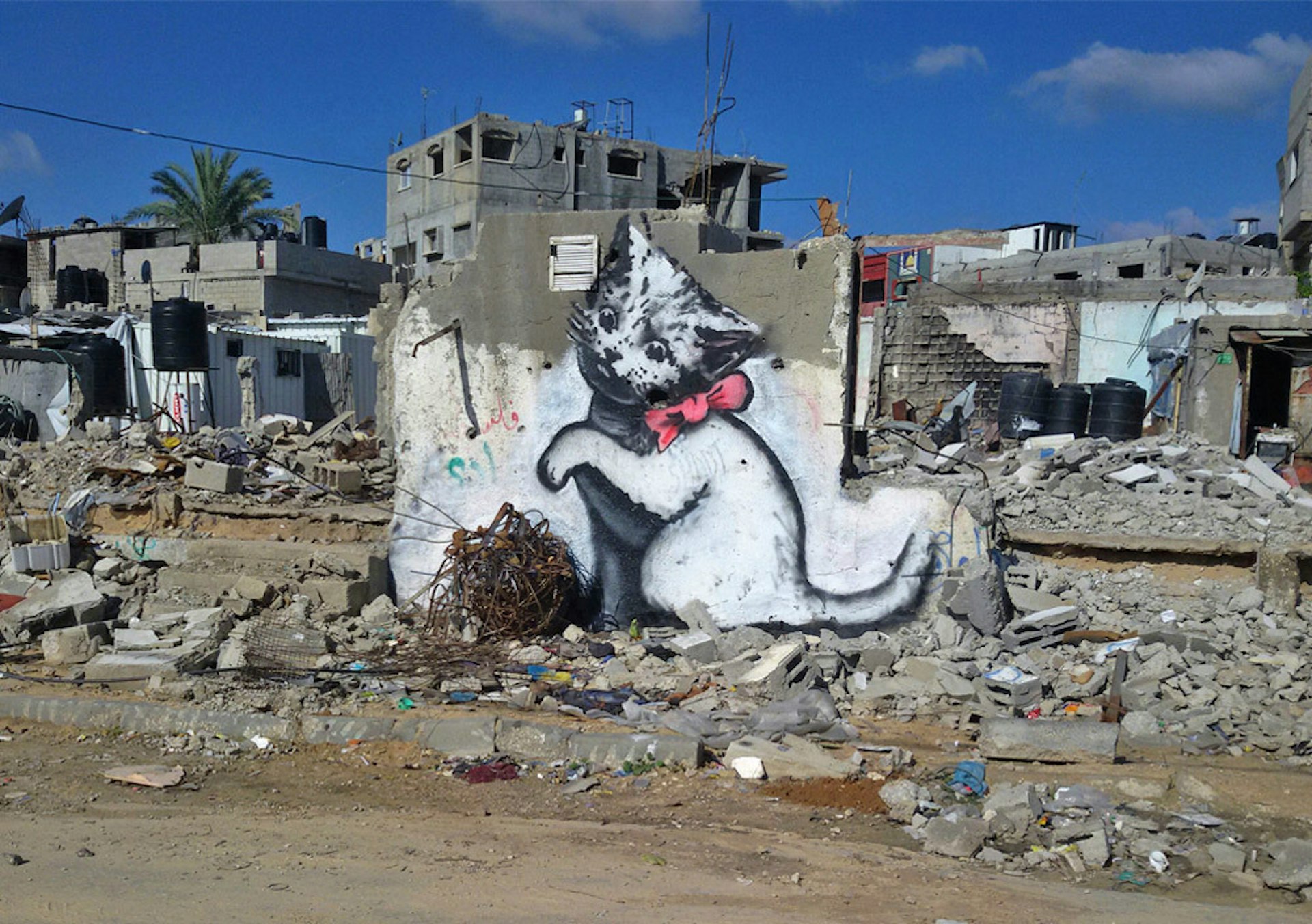 Banksy paints cute cat to draw attention to horrors in Gaza