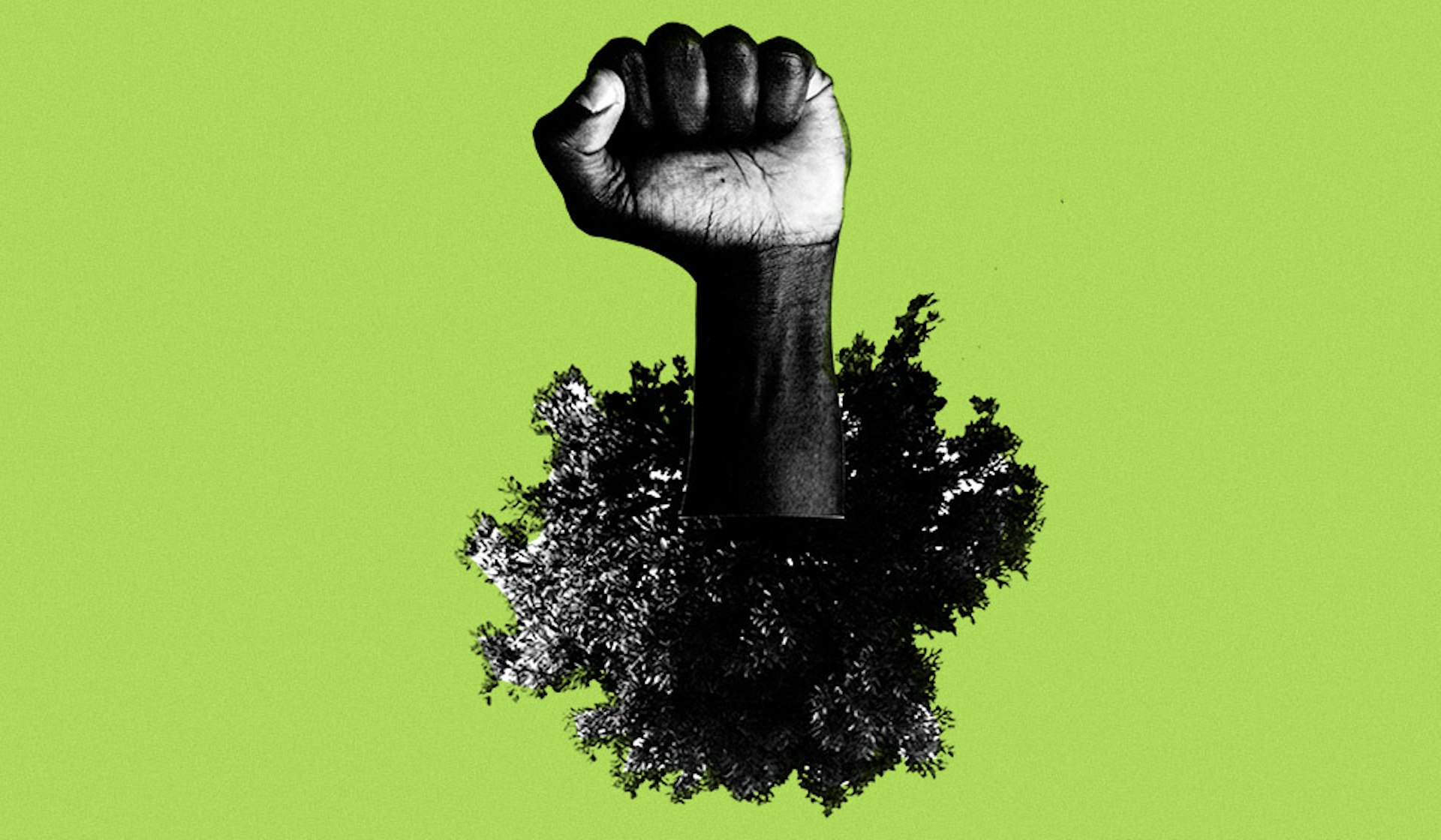 The activists fighting to give nature human rights