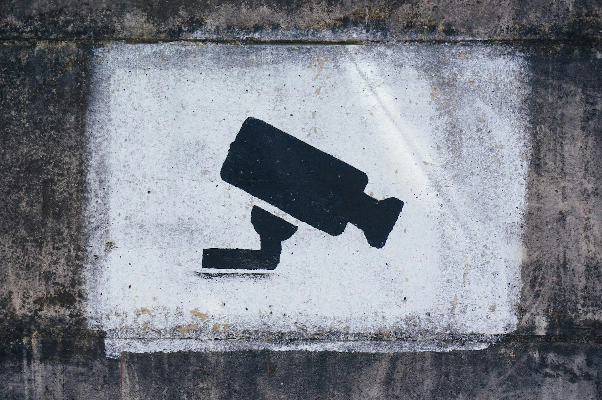 On TikTok, people are fuelling surveillance culture