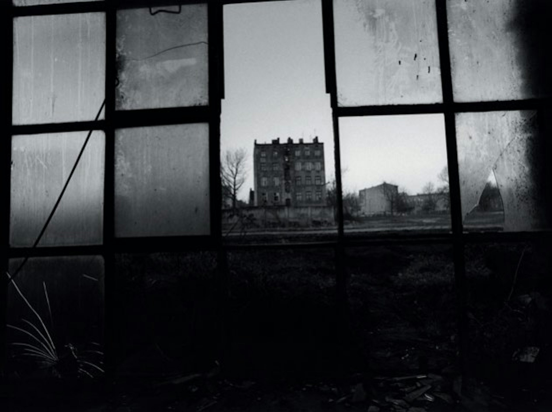 David Lynch - The Factory Photographs