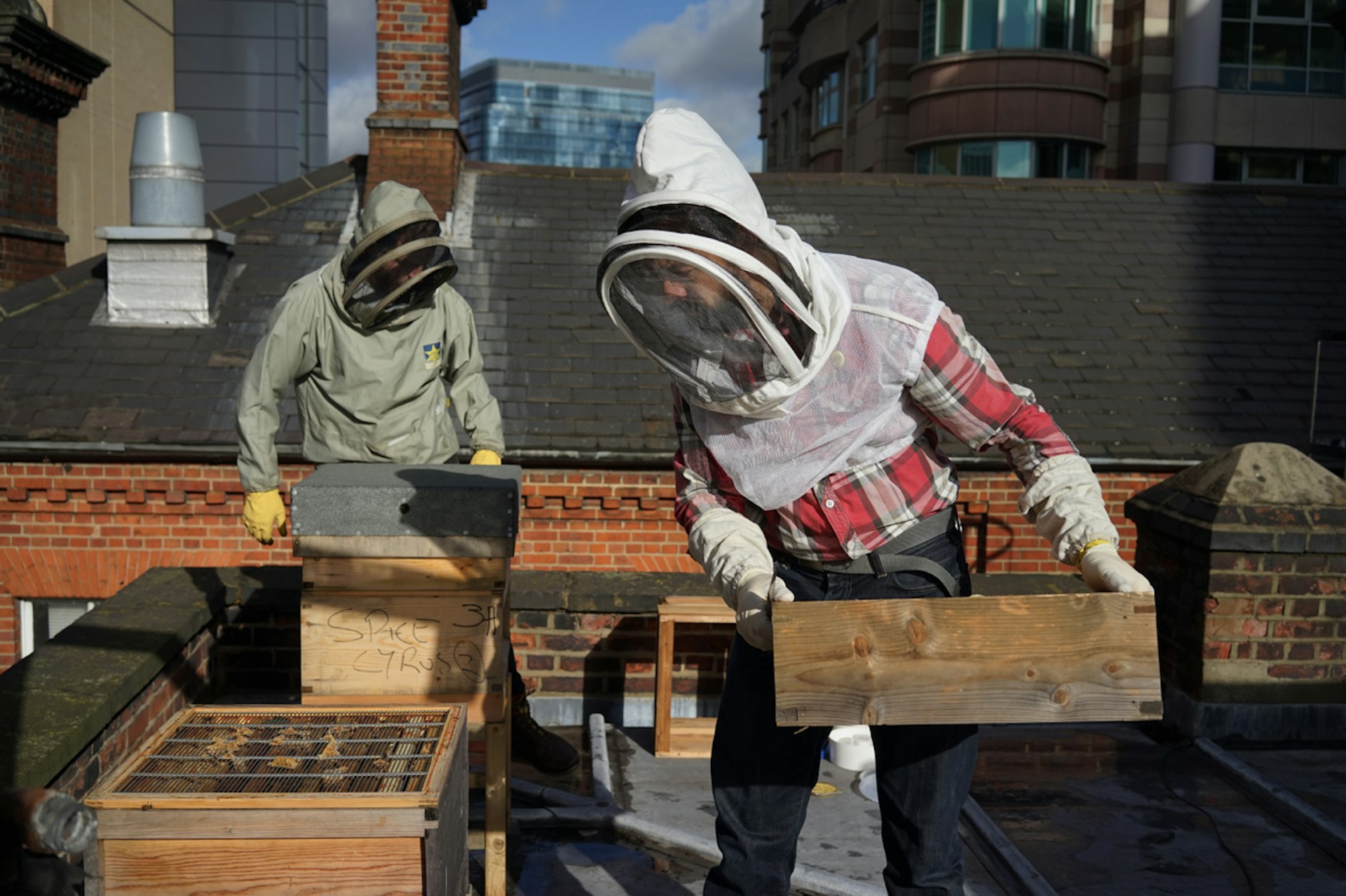 london-beekeepers-2