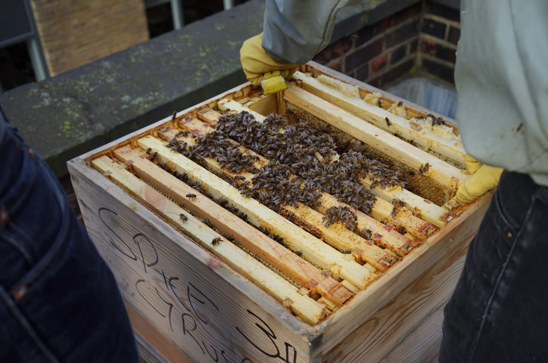 london-beekeepers-3