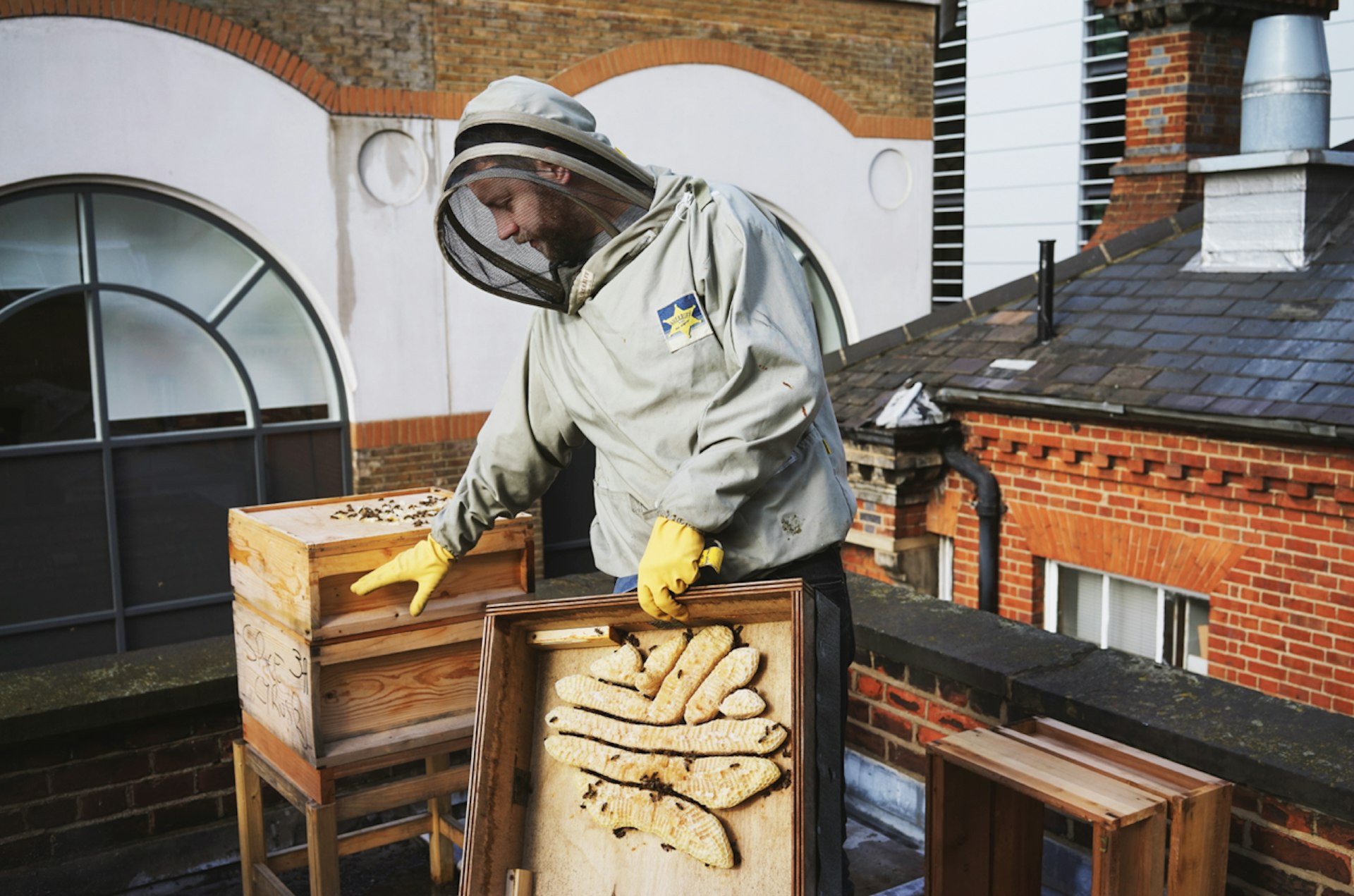 london-beekeepers-7