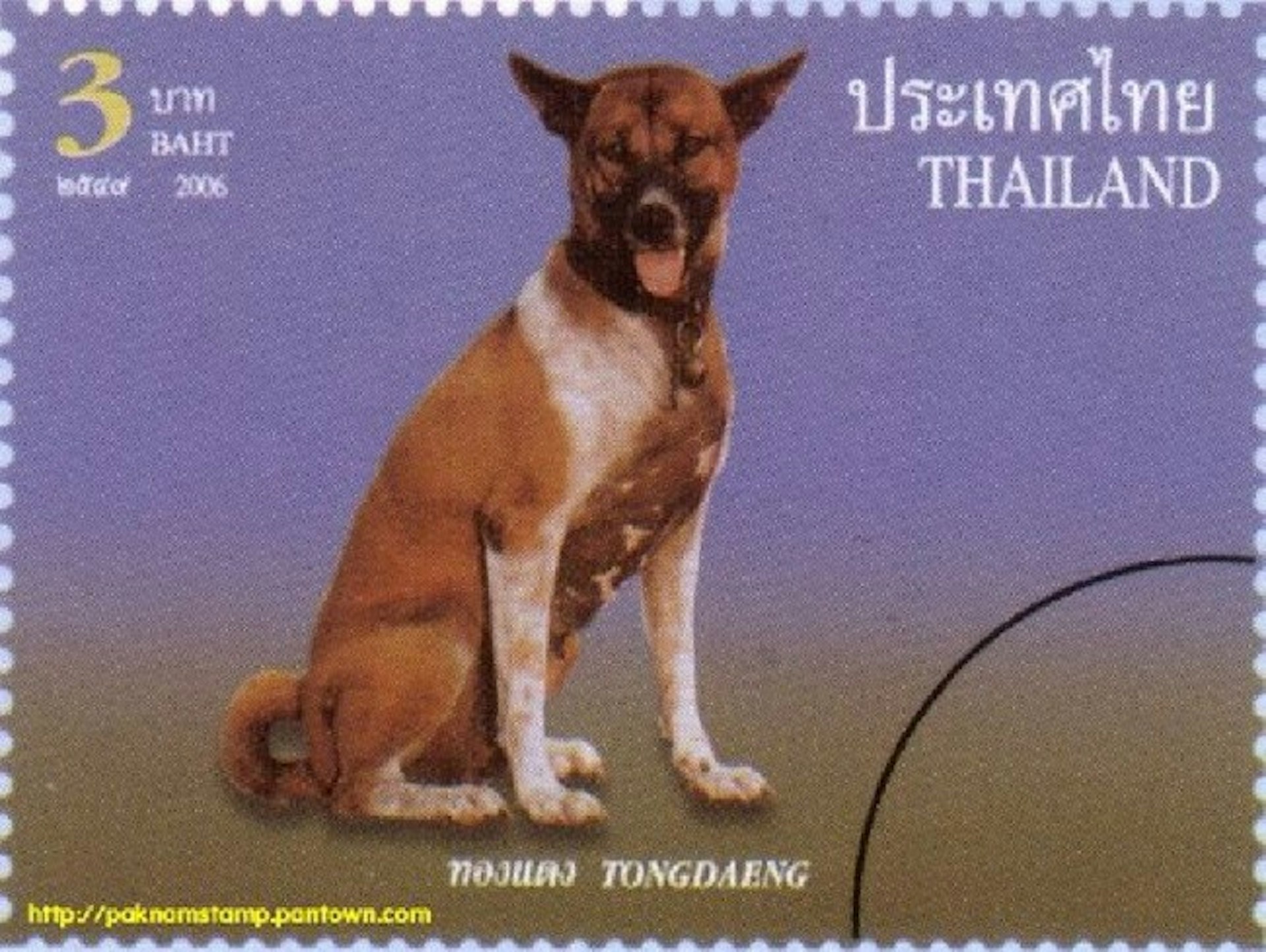 Thai dog censorship Tong Daeng