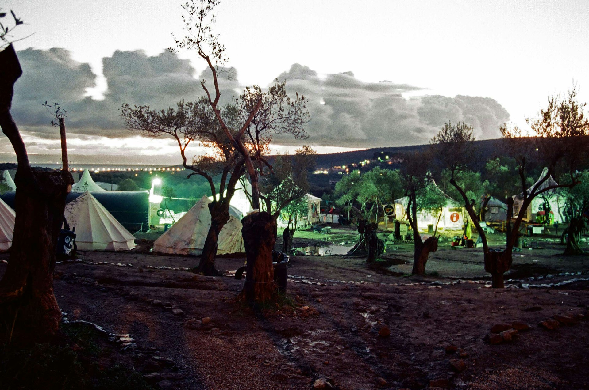 The Olive Grove unofficial camp. Photo by Bailey Tom Bailey