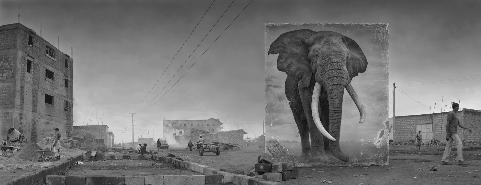 'Road With Elephant'