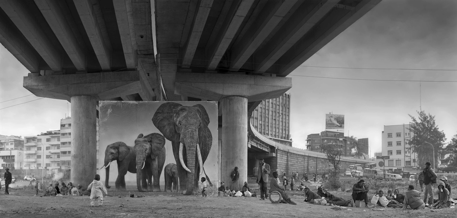 'Underpass With Elephants'