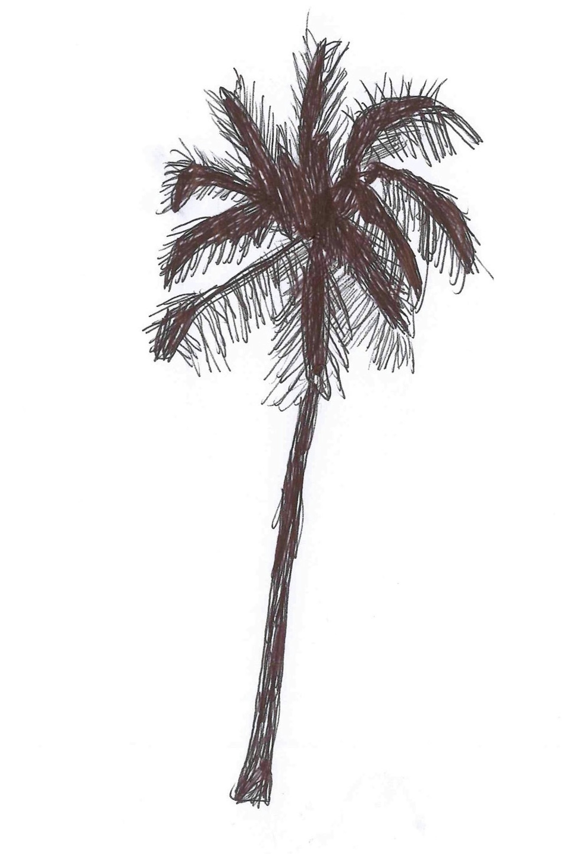NU-Ask the Dust palm tree