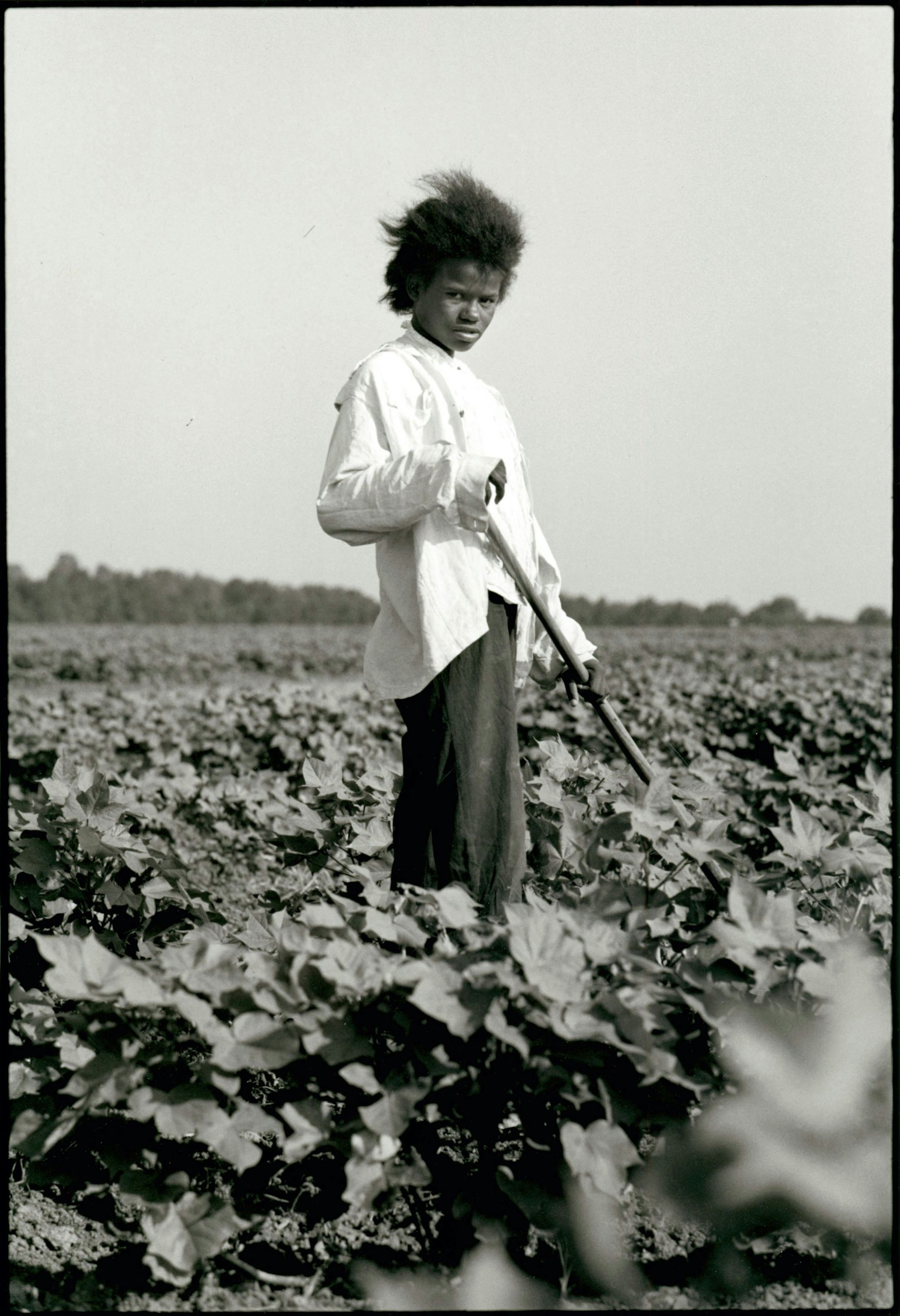 Tallahatchie County, Mississippi, 1963