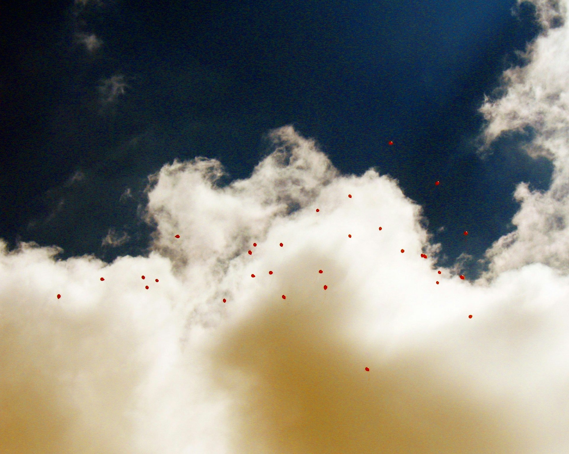 Commemorative balloons released into the sky.