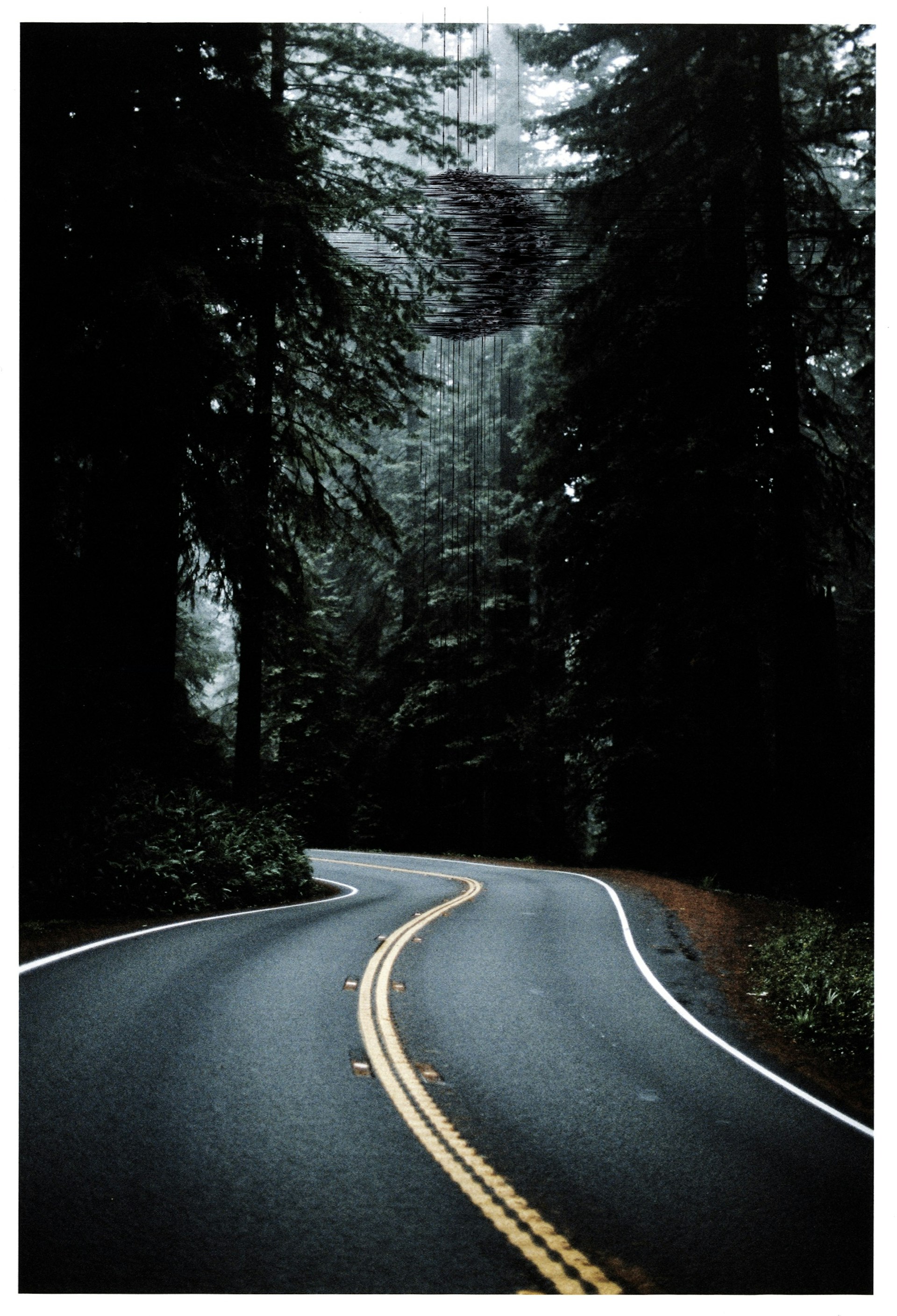 FOREST-ROAD-low