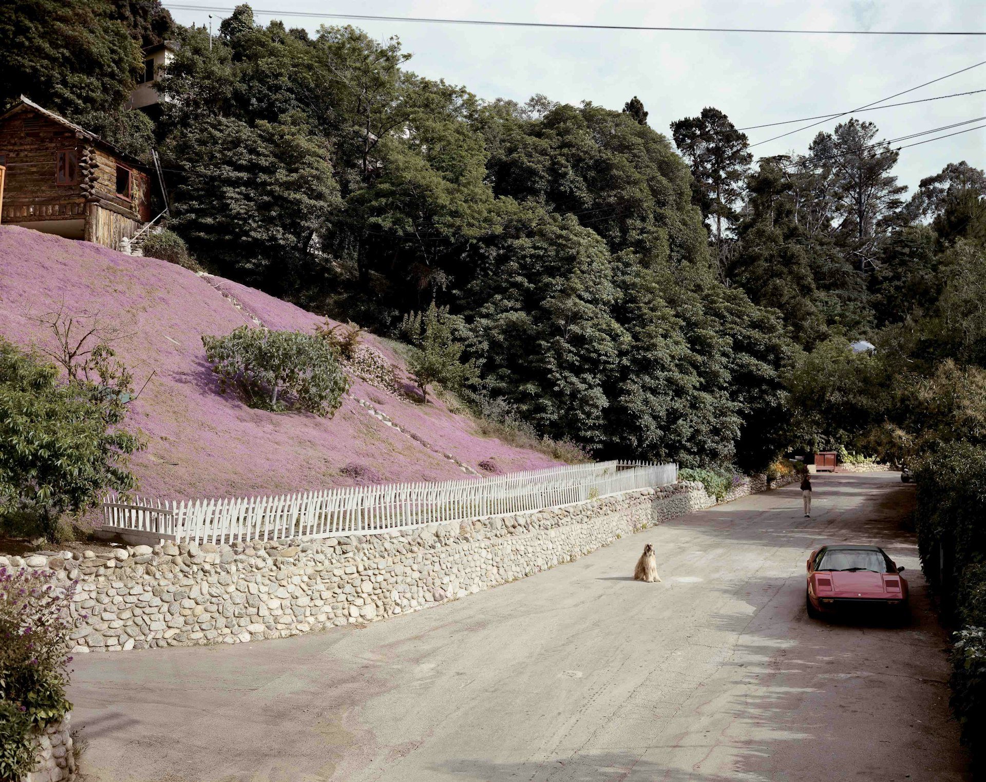 Rustic Canyon, Santa Monica, California, May 1979 © Joel Sternfeld courtesy Luhring Augustine Gallery and Beetles + Huxley Gallery