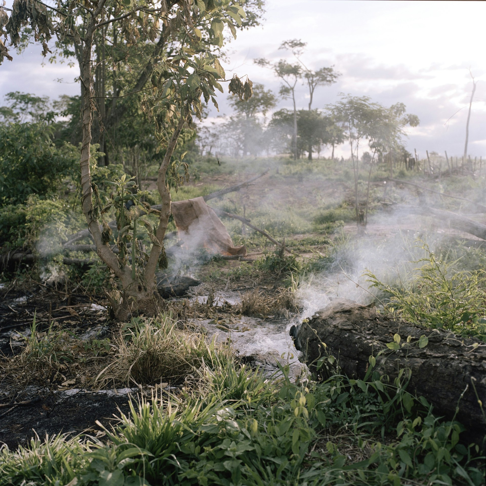Burned traces of Guayaqui Cuá community after its eviction two days before.