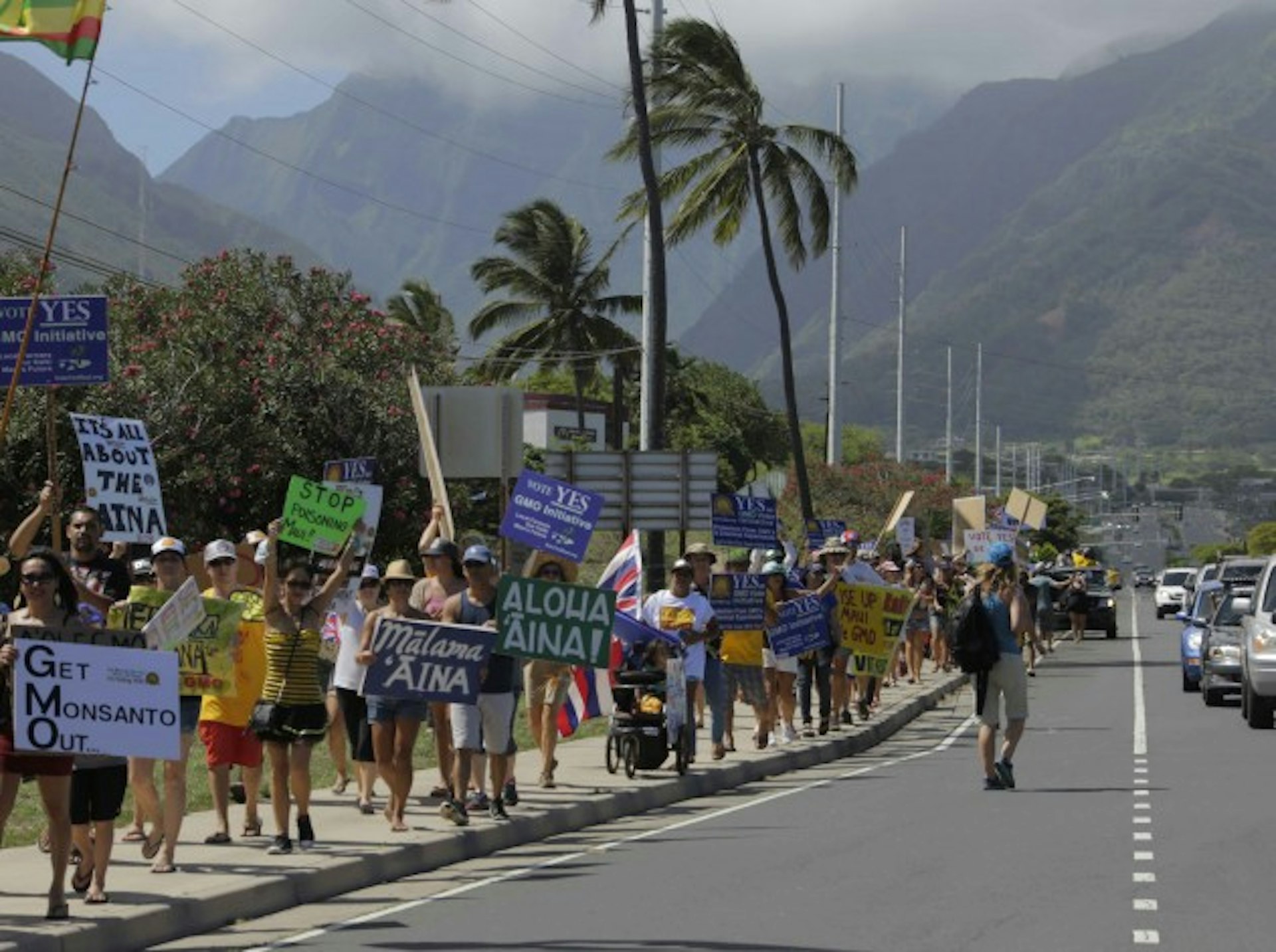 Maui's 2015 GMO moratorium bill march