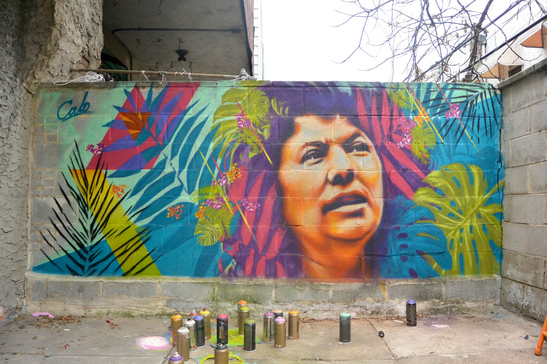 A portrait of activist Berta Cáceres by Calo on the streets of Philadelphia. Courtesy of the artist.