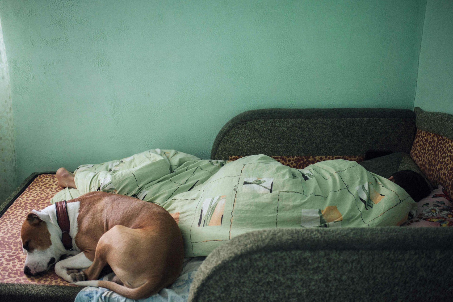 Yura sleeps with his dog Derek at his parents' home in Hristovaia, where he has lived all his life.