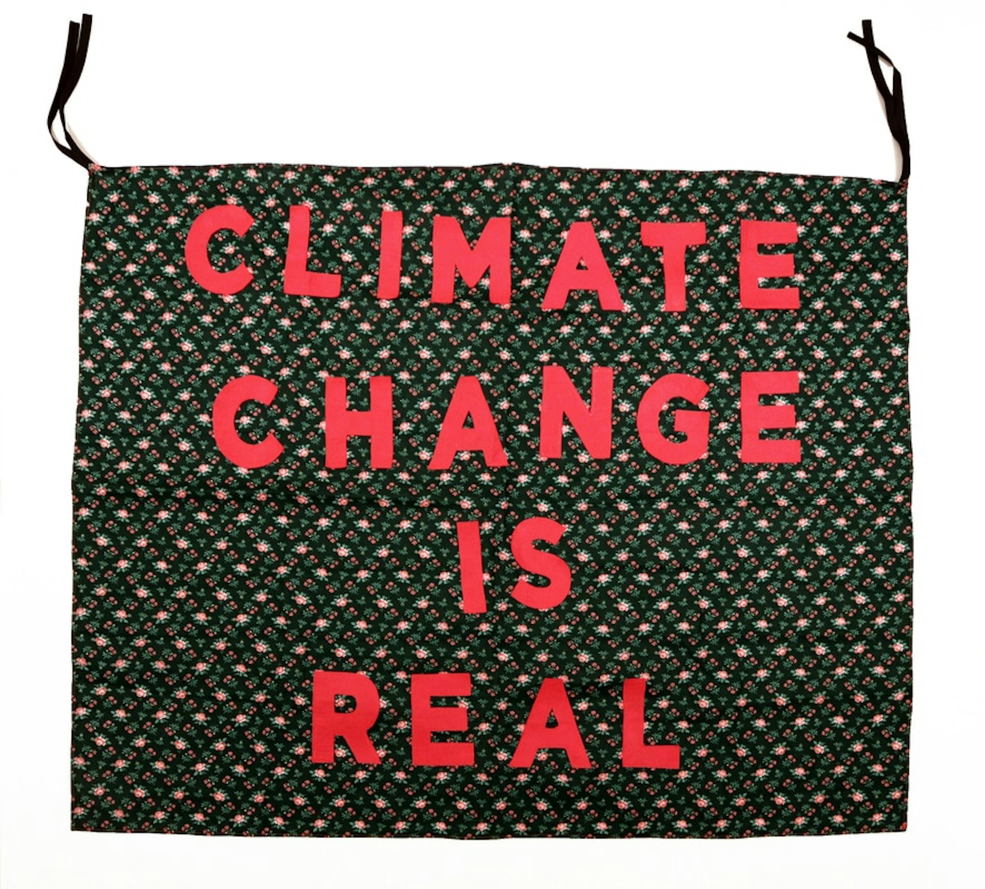 climate-change-is-real_1_orig