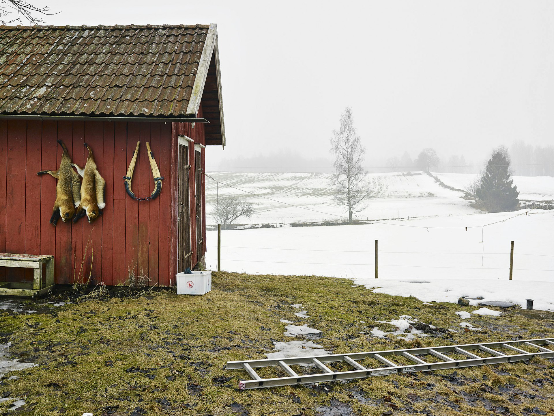Od, Västergötland, Sweden, March 14, 2011