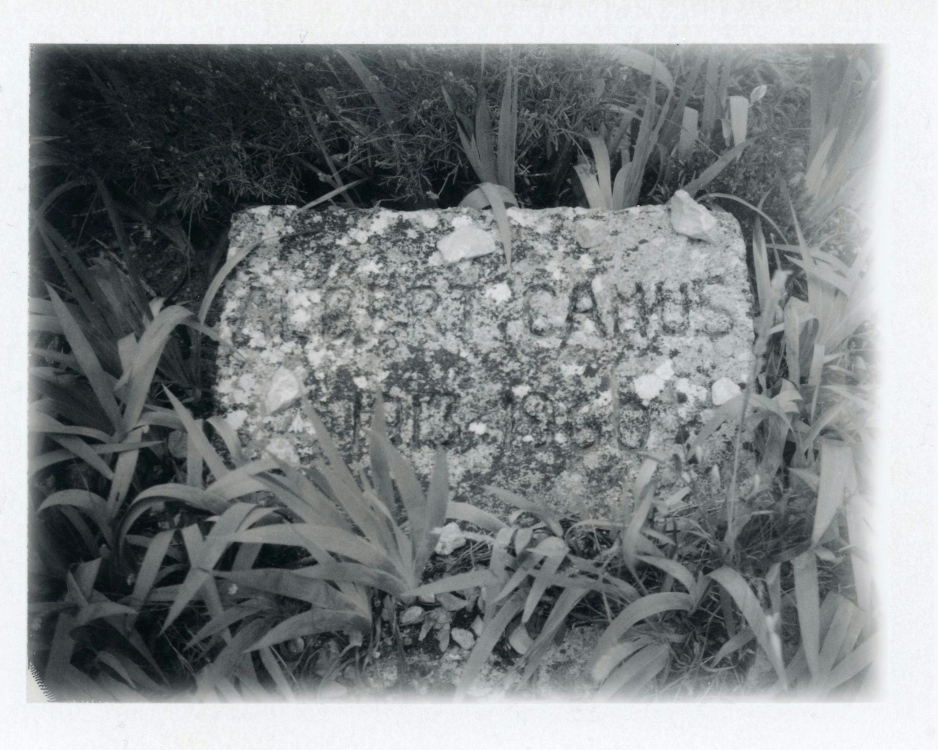 Patti Smith, ‘Grave of Albert Camus’, 2016 © Patti Smith, courtesy Gagosian, work exhibited by: GAGOSIAN