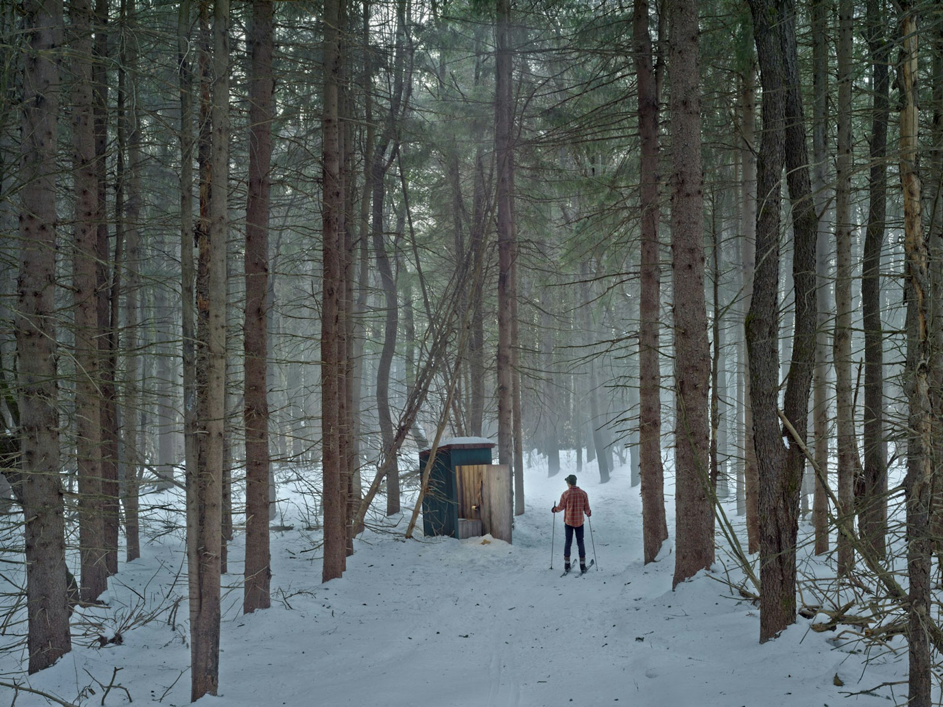 Cathedral of the Pines, 2014 Digital pigment print © Gregory Crewdson. Courtesy Gagosian.