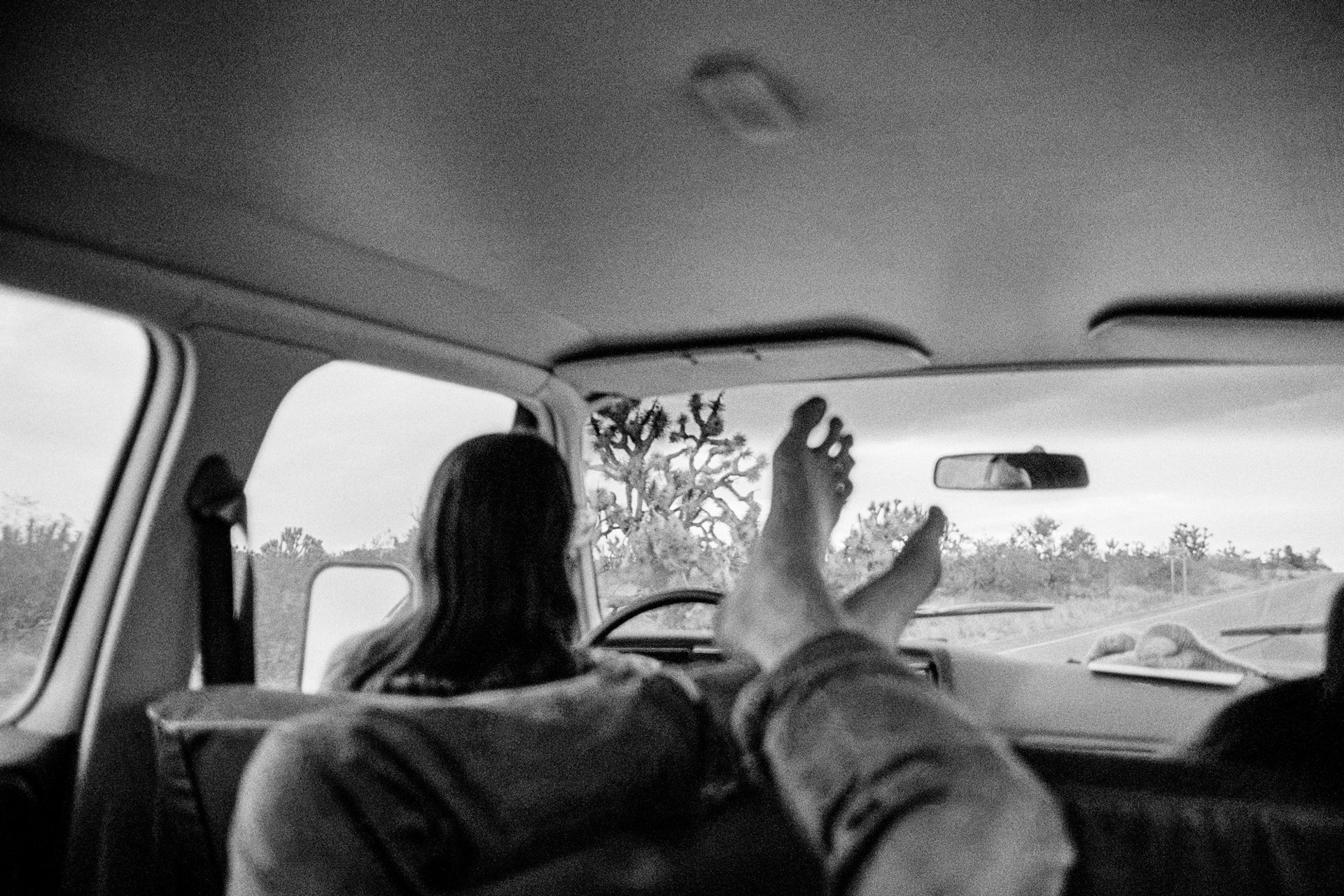 On the road from California to Arizona via Joshua Tree Forest. 1979.